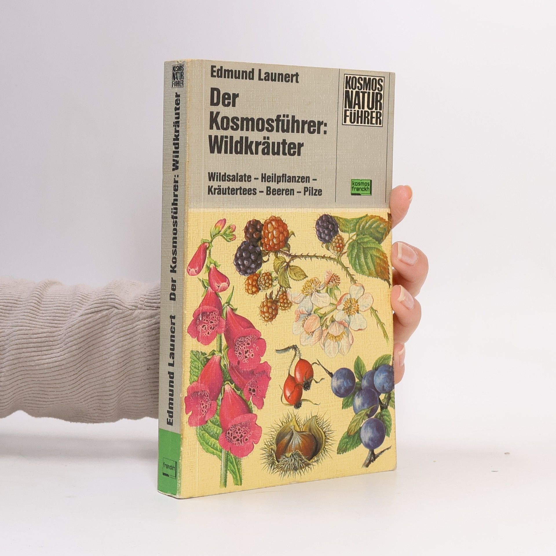 Der Kosmosführer: Wildkräuter