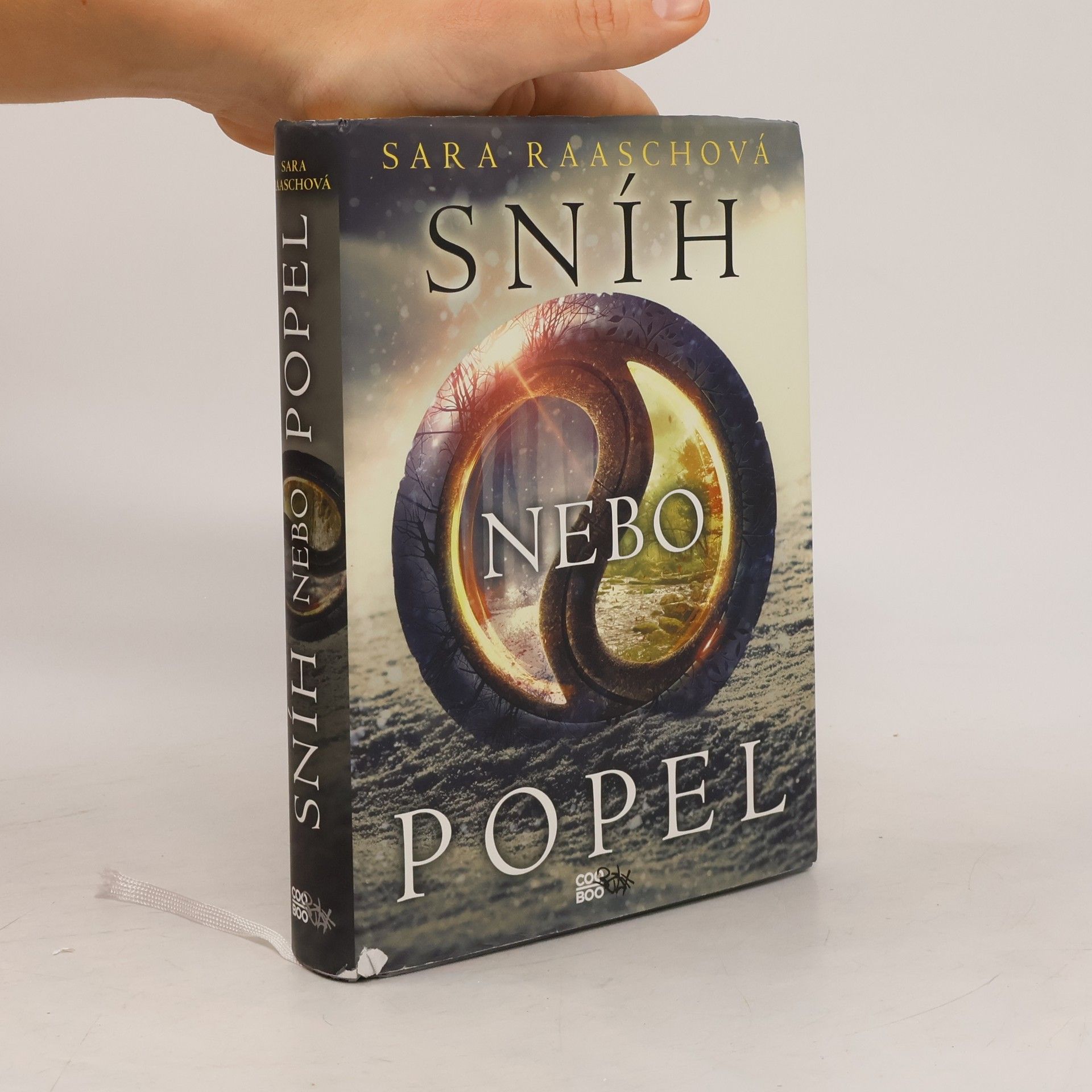 Sara Raasch Sníh nebo popel