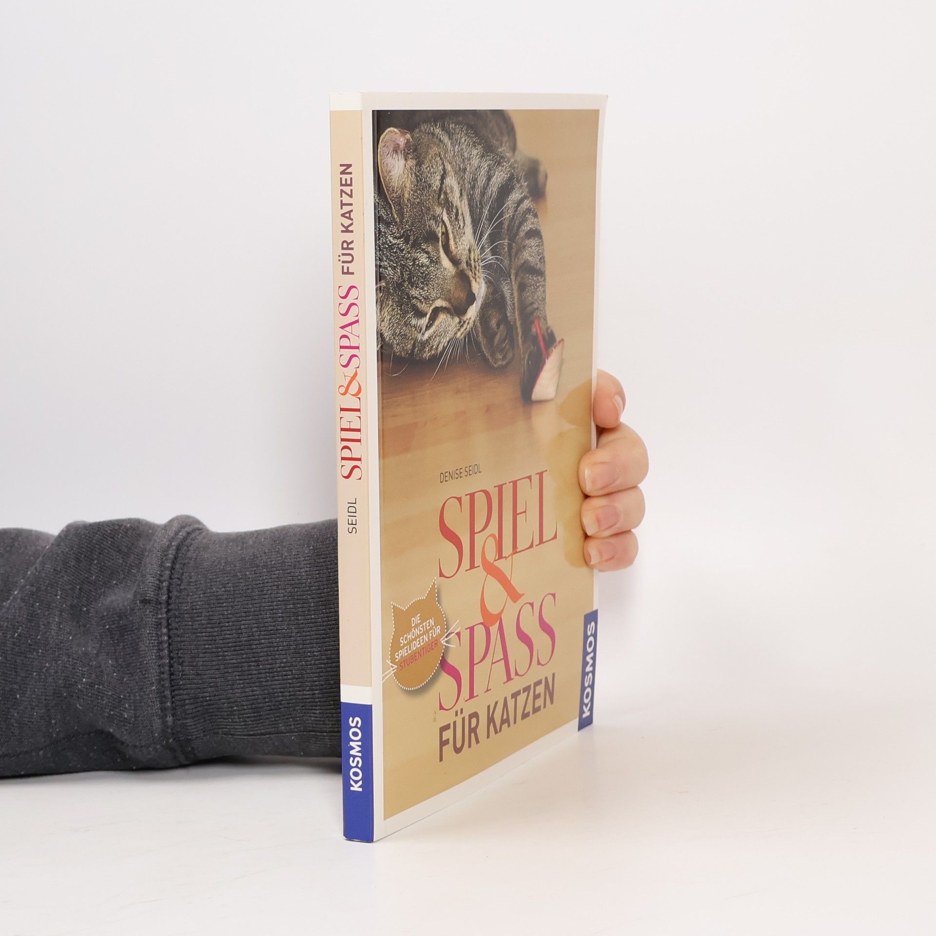 Denise Seidl Spiel & Spass für Katzen