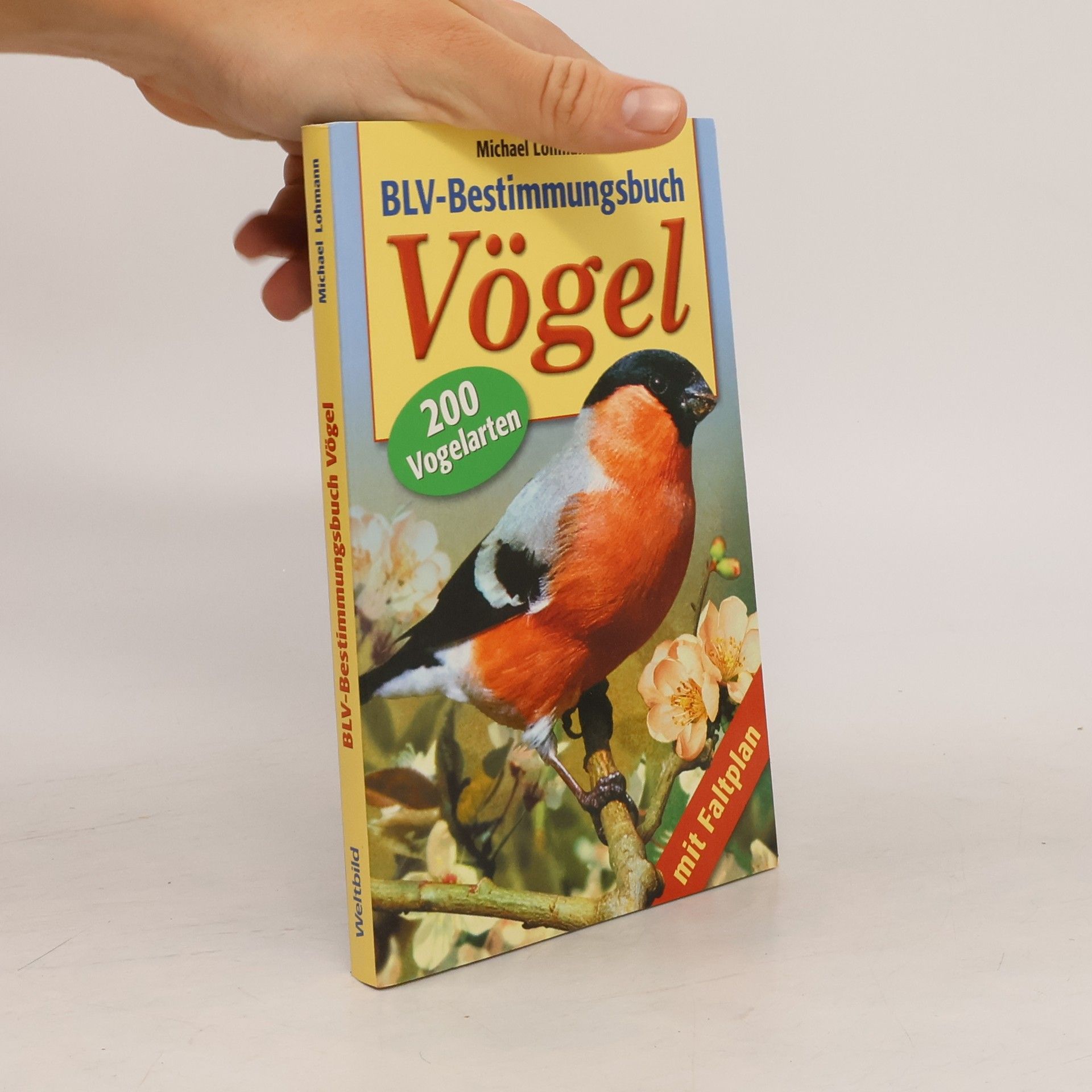 Michael Lohmann BLV-Bestimmungsbuch Vögel