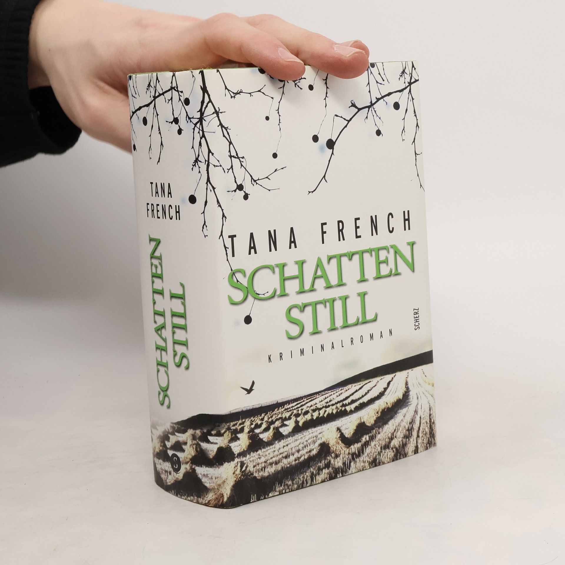 Tana French Schattenstill
