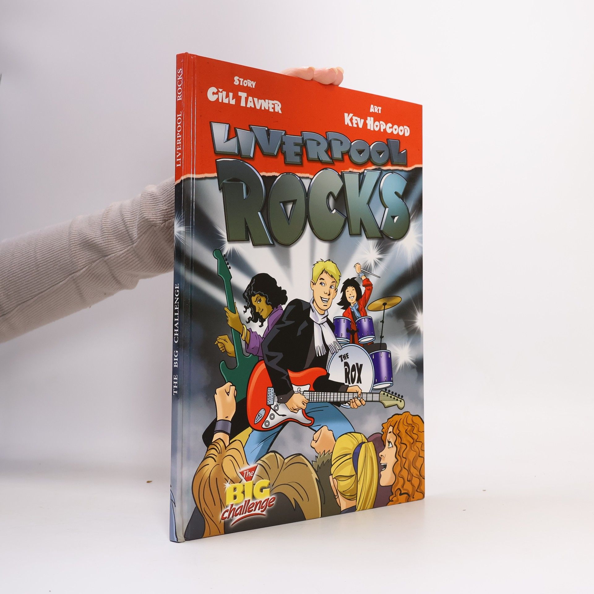 Gill Tavner Liverpool Rocks