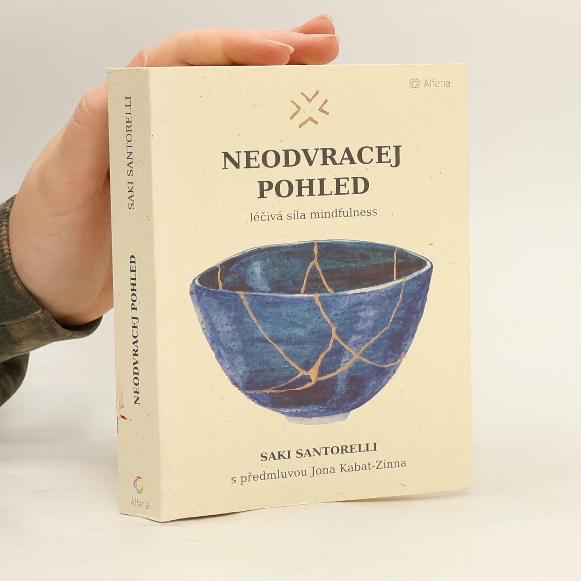 Saki Santorelli Neodvracej pohled : léčivá síla mindfulness