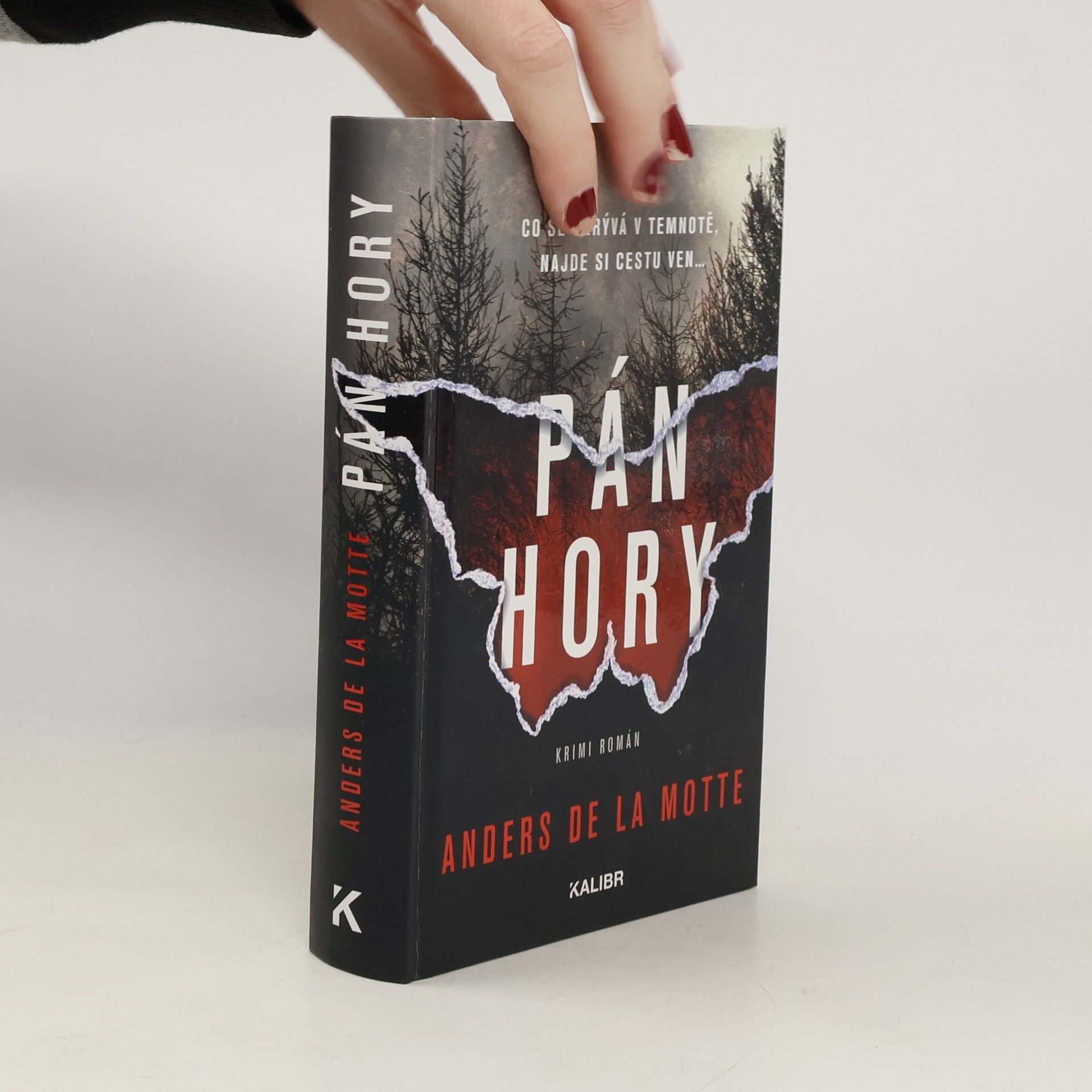 Anders De la Motte Pán hory