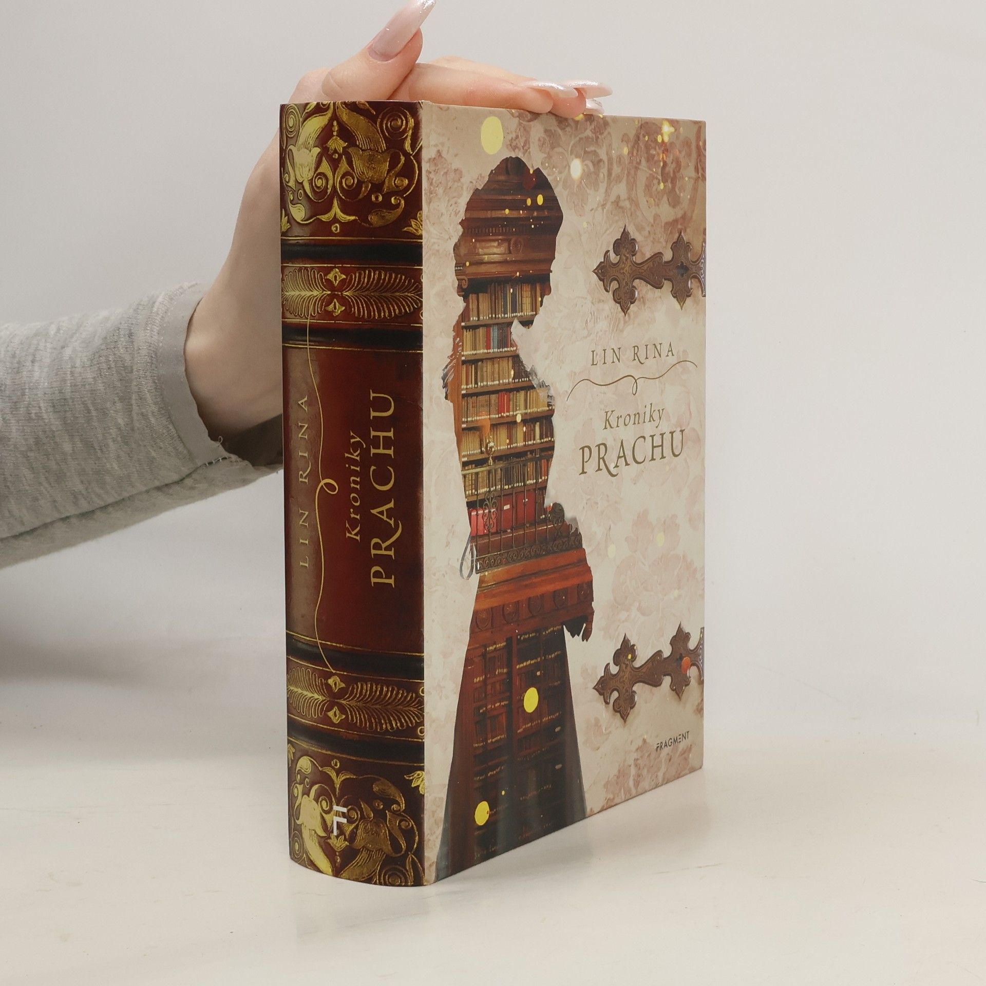 Lin Rina Kroniky prachu