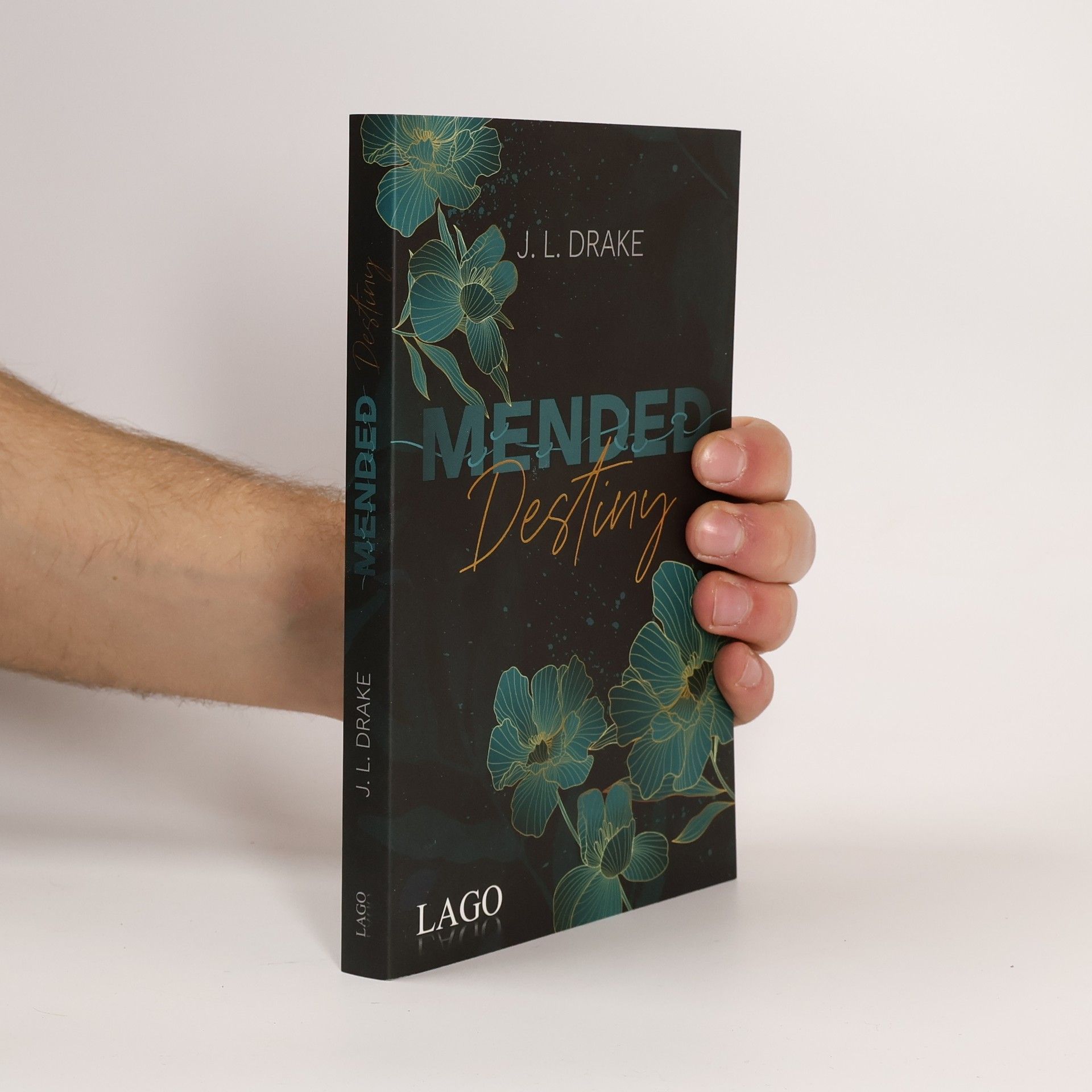 J. L. Drake Mended Destiny