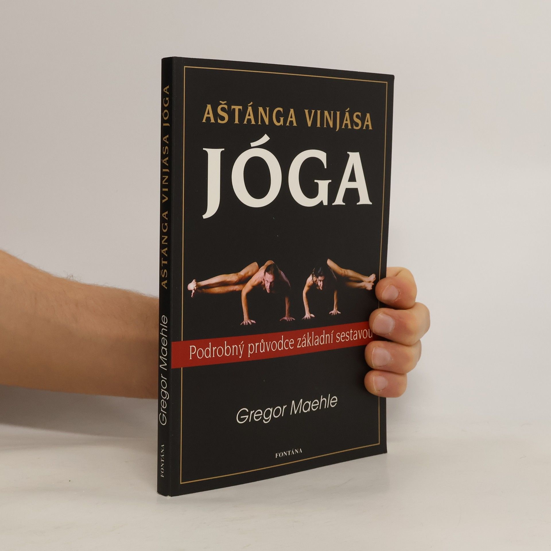 Gregor Maehle Aštánga vinjása jóga