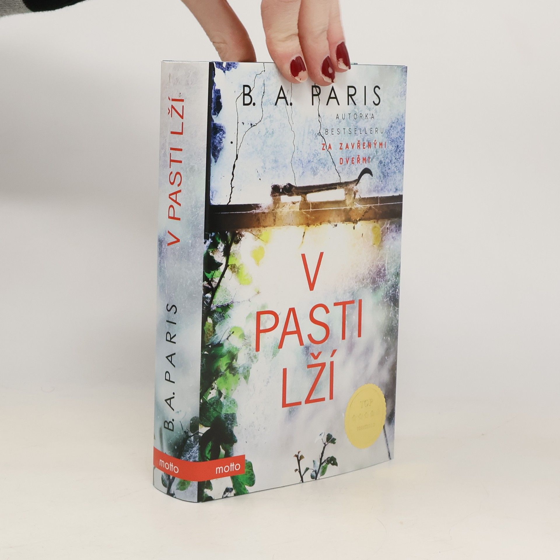 B.A. Paris V pasti lží