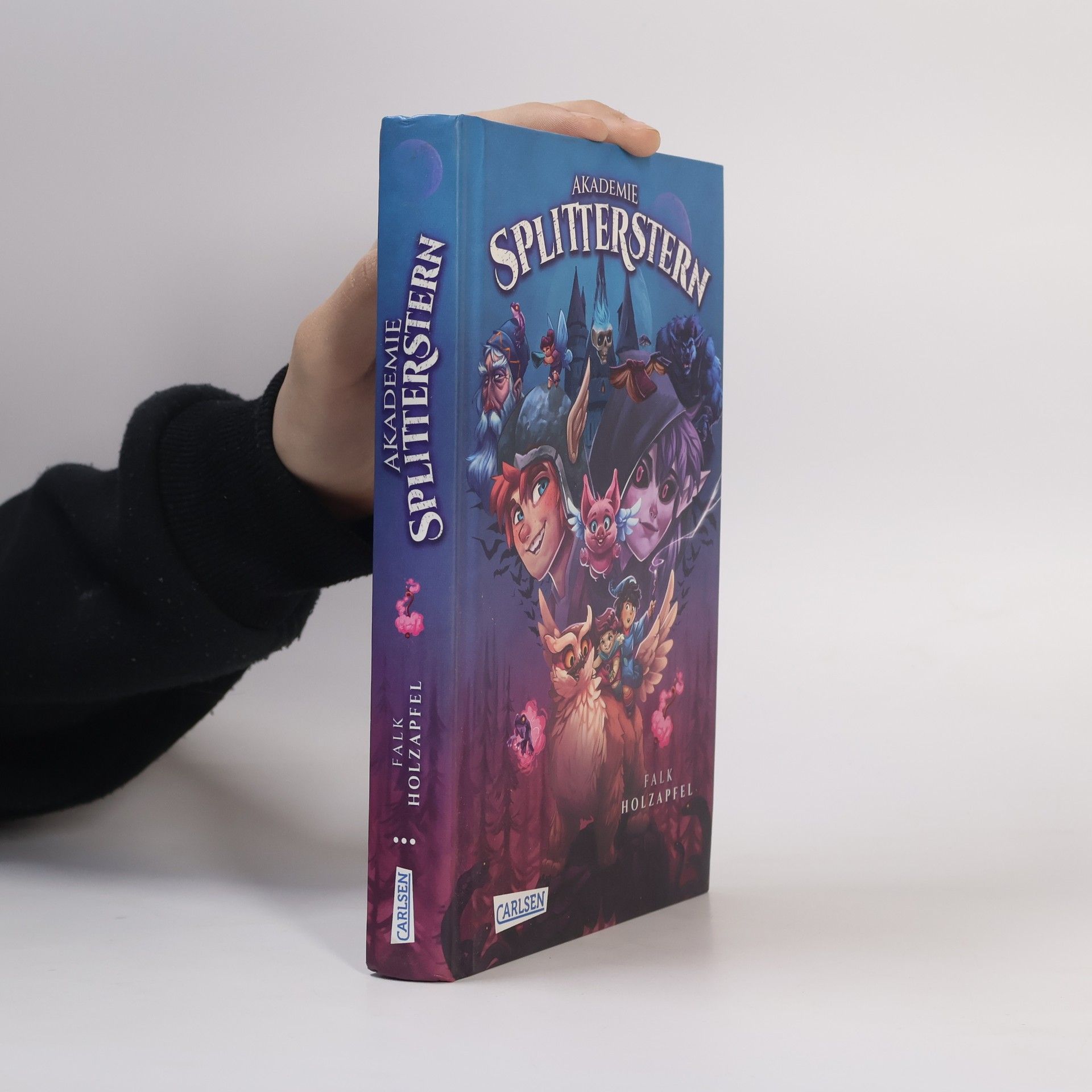 Falk Holzapfel Akademie Splitterstern