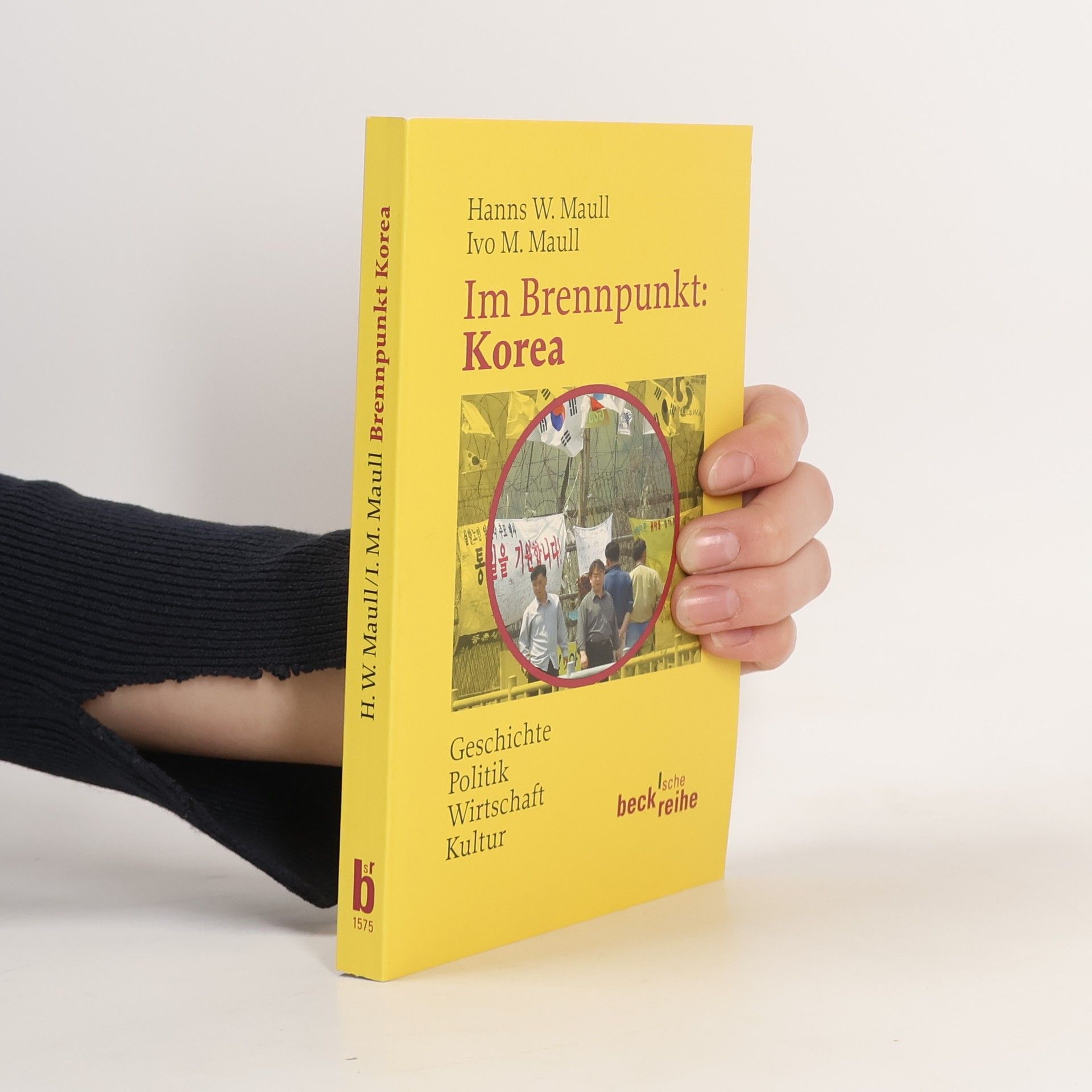 Hanns W. Maull Im Brennpunkt