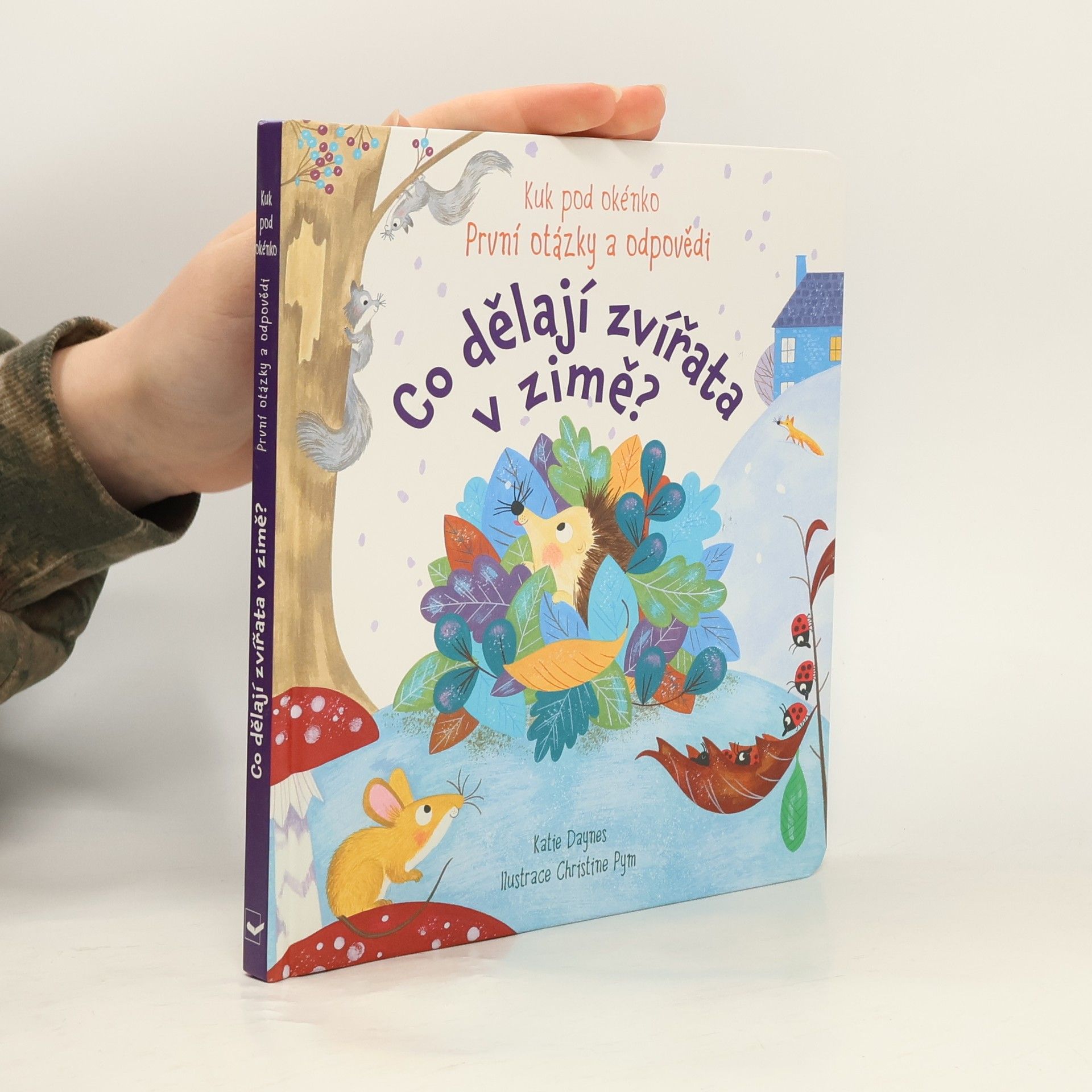 Katie Daynes Co dělají zvířata v zimě? : první otázky a odpovědi