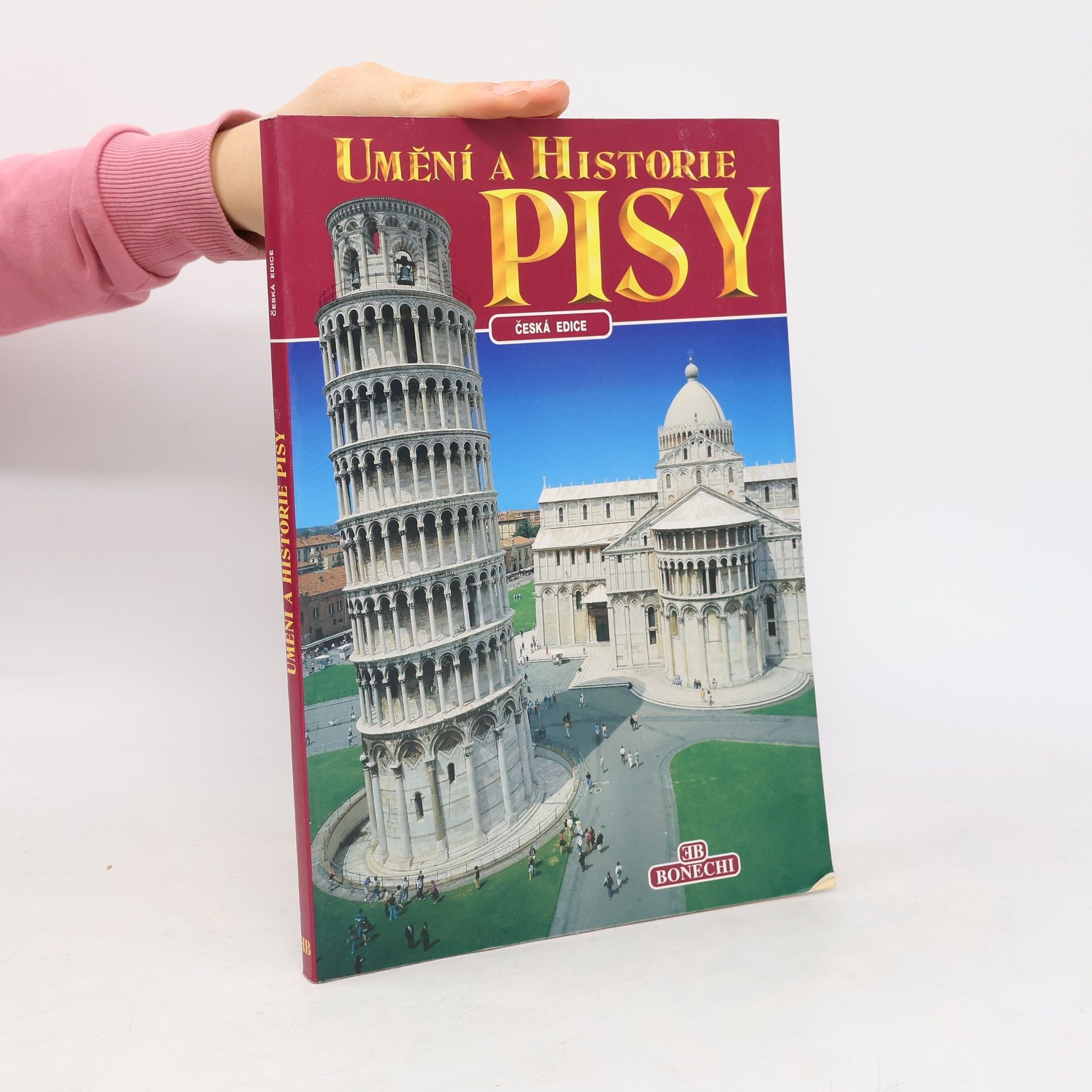 Giuliano Valdes Umění a historie Pisy