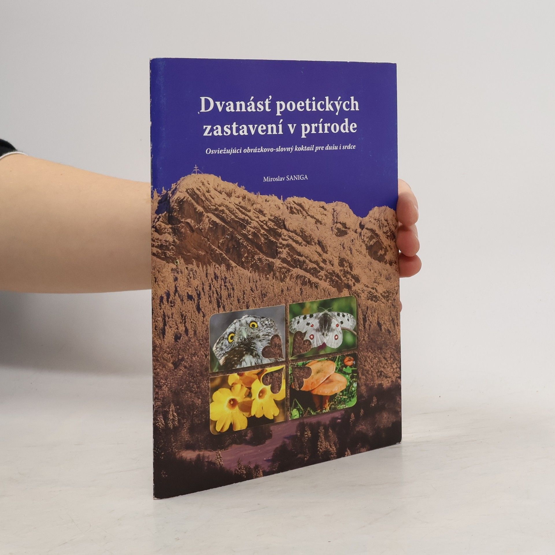Miroslav Saniga Dvanásť poetických zastavení v prírode