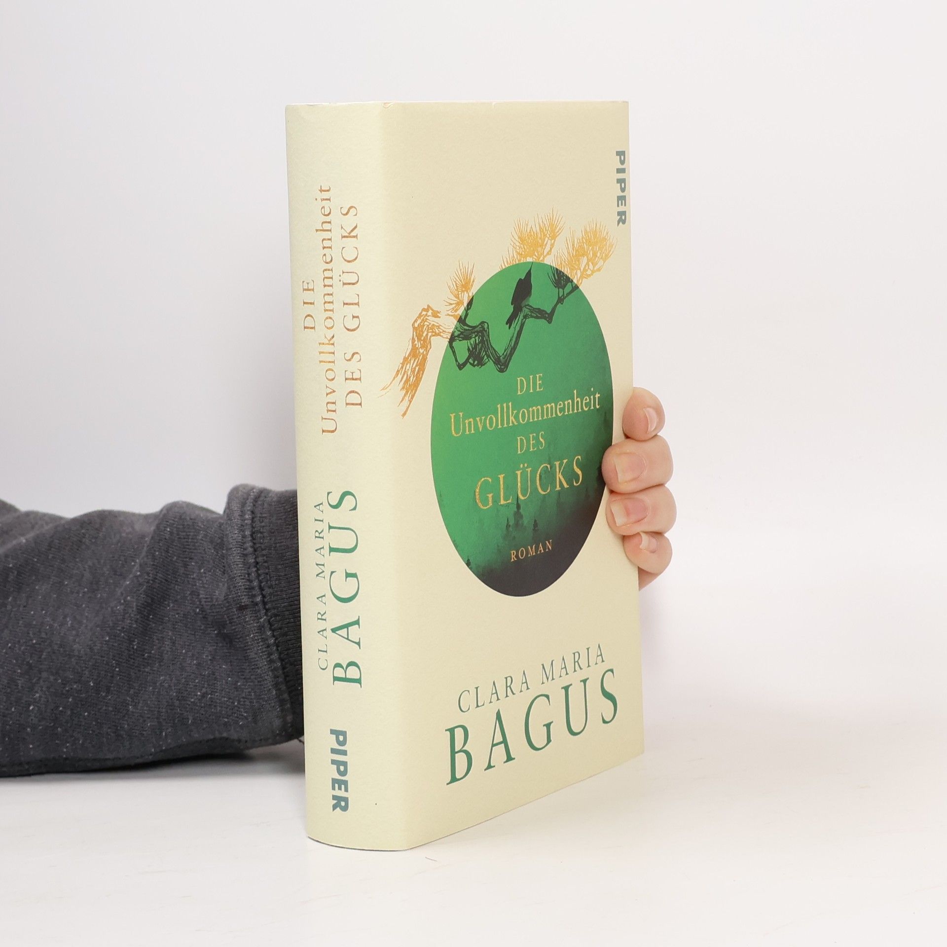 Die Unvollkommenheit des Glücks