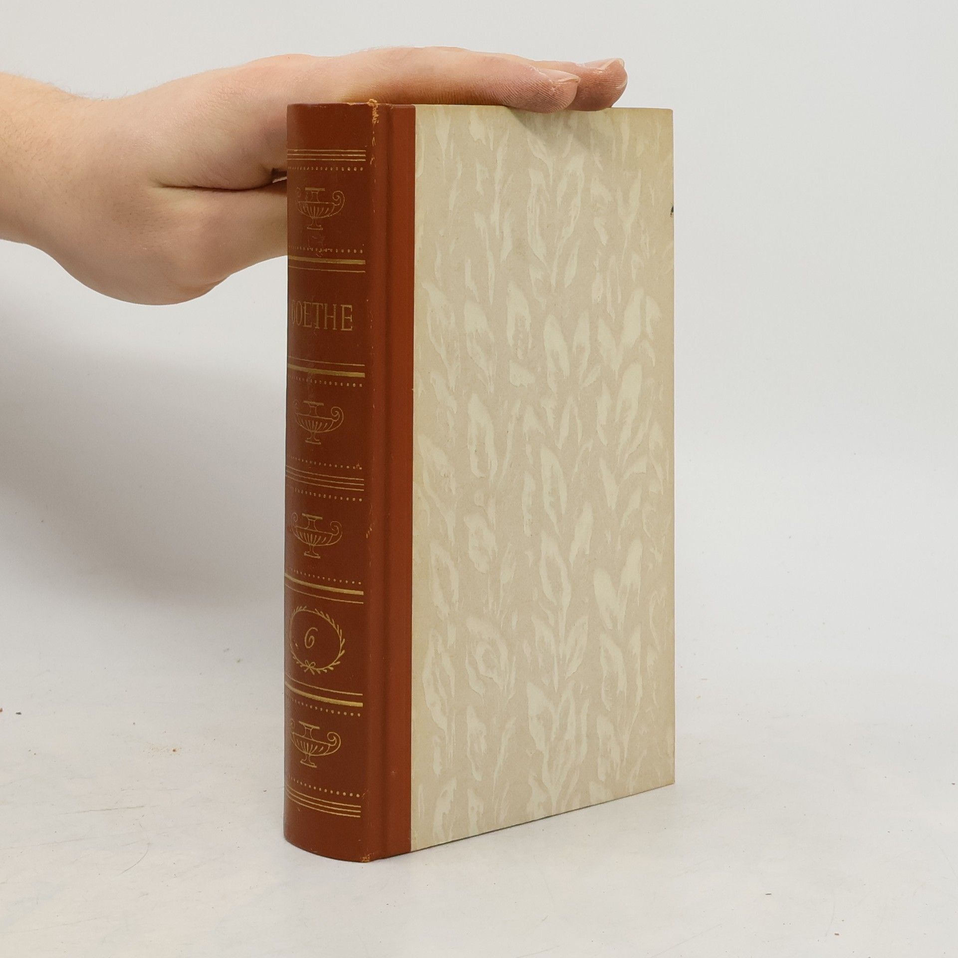 Johann Wolfgang von Goethe Gesammelte Werke 6