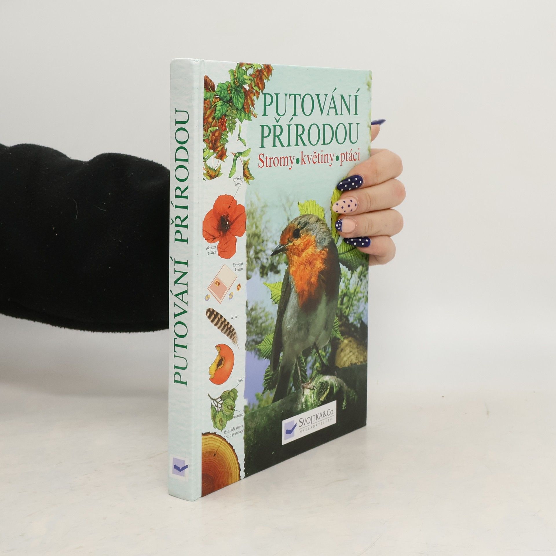 Kolektiv autorů Putování přírodou: Stromy, květiny, ptáci