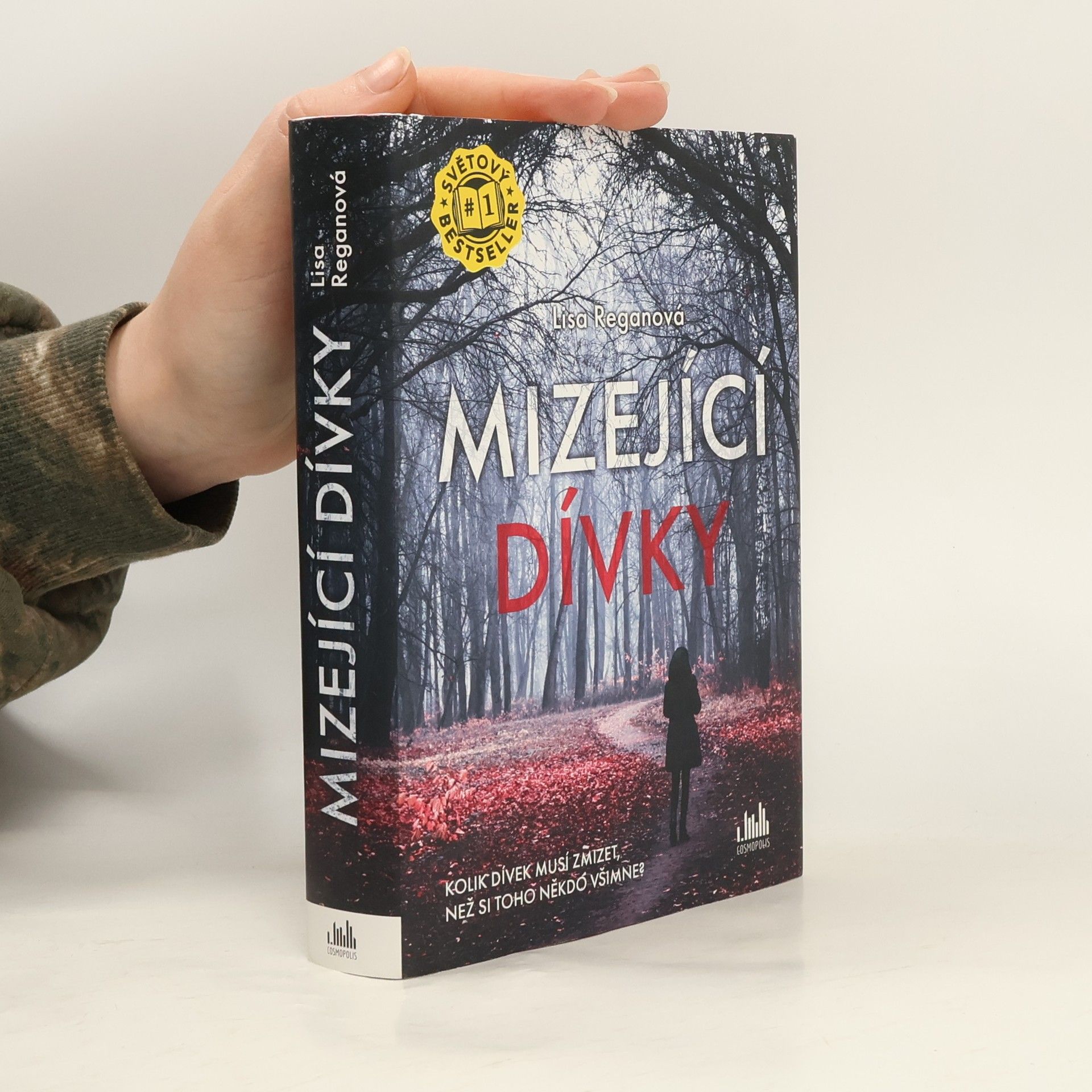 Lisa Regan Mizející dívky