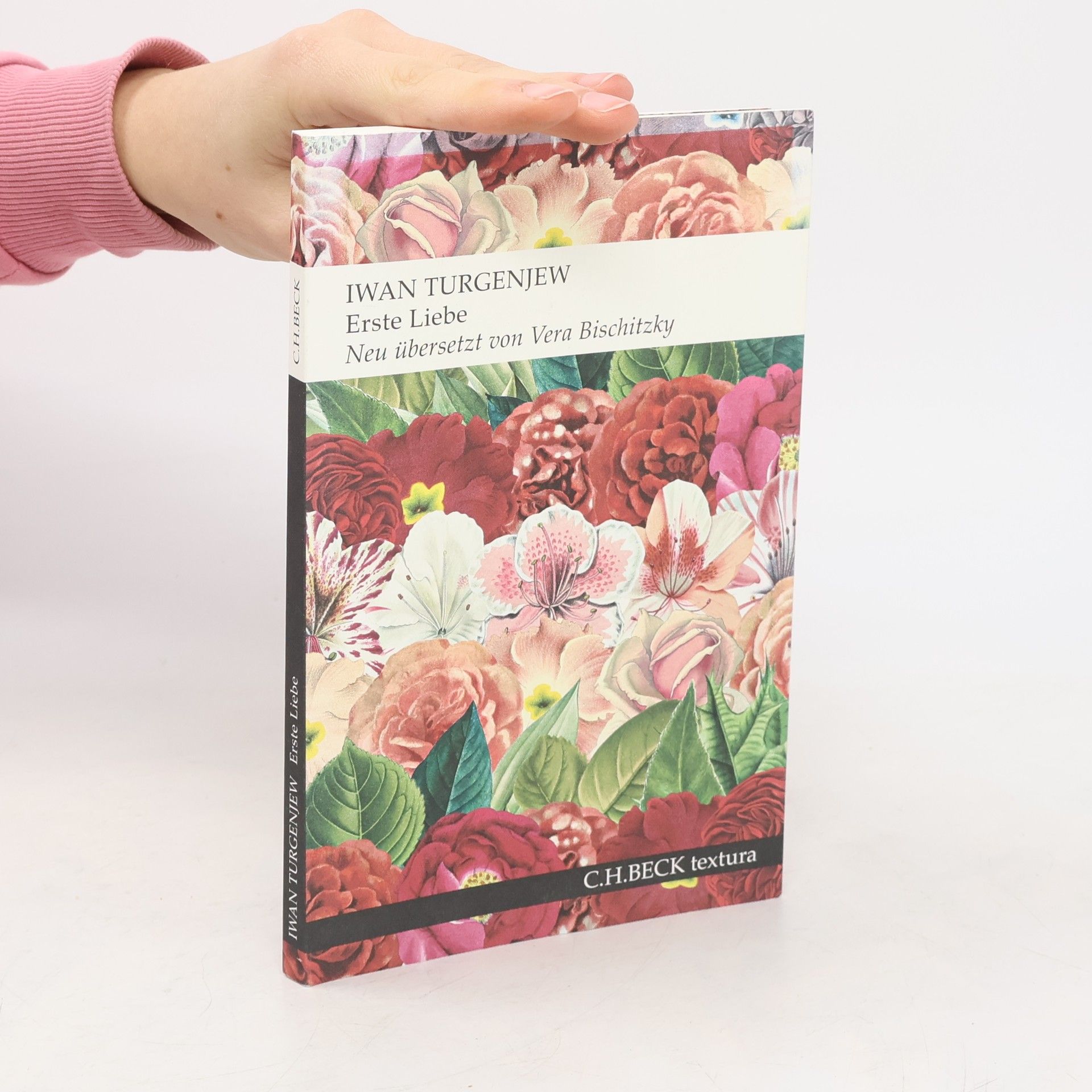 Ivan Turgenev Erste Liebe