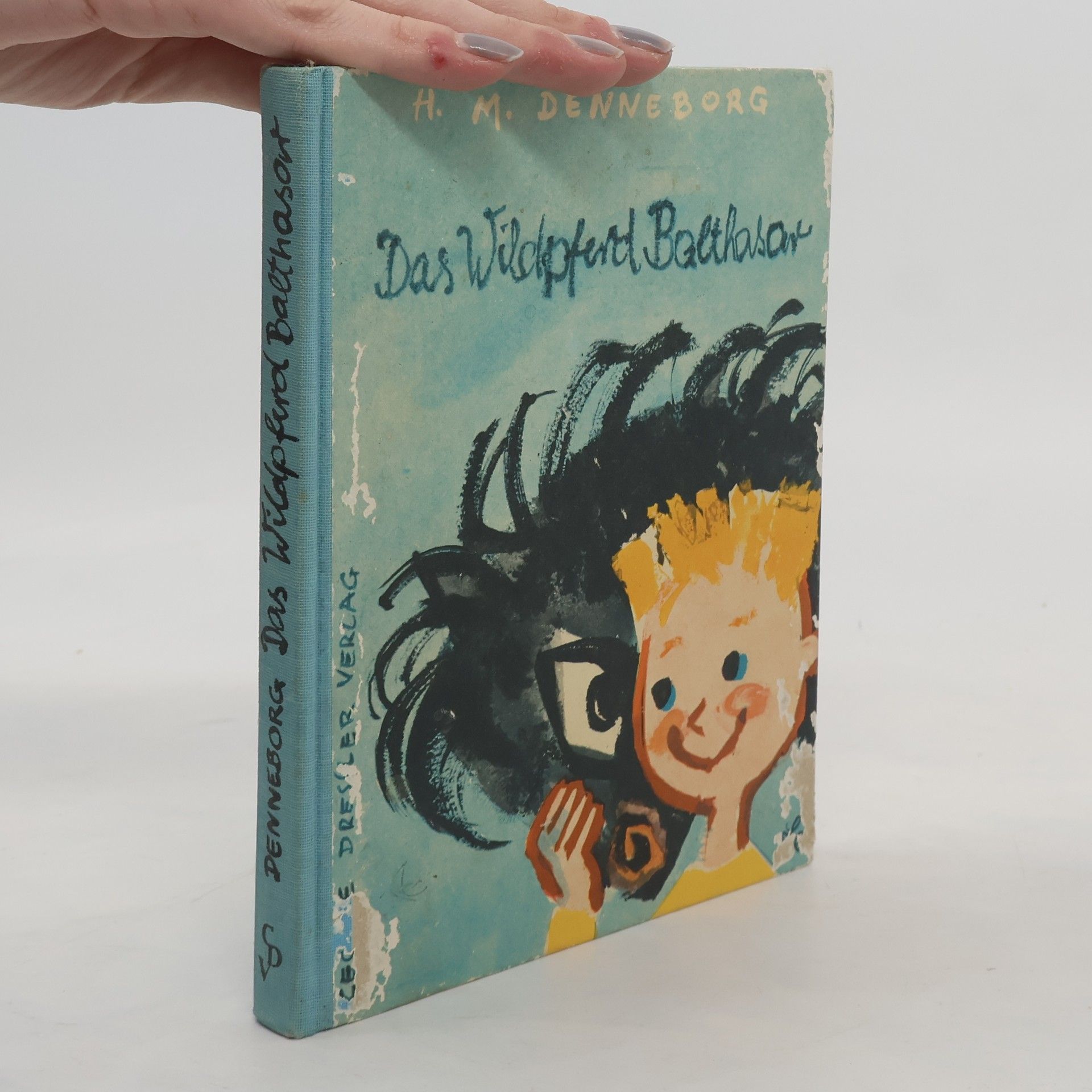 H.M. Denneborg Das Wildpferd Balthasar