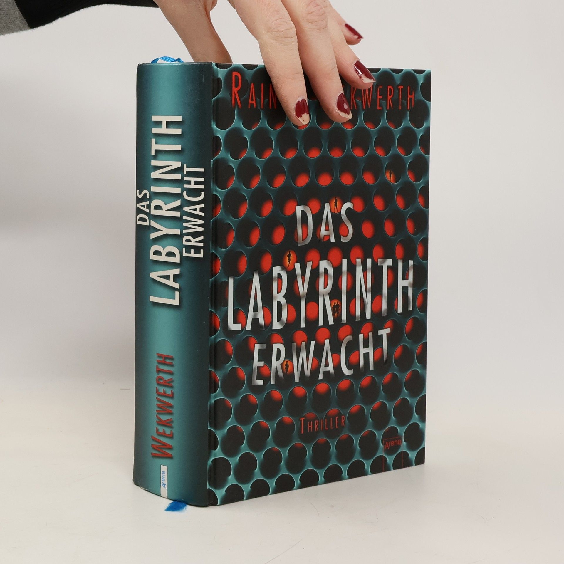 Rainer Wekwerth Das Labyrinth erwacht