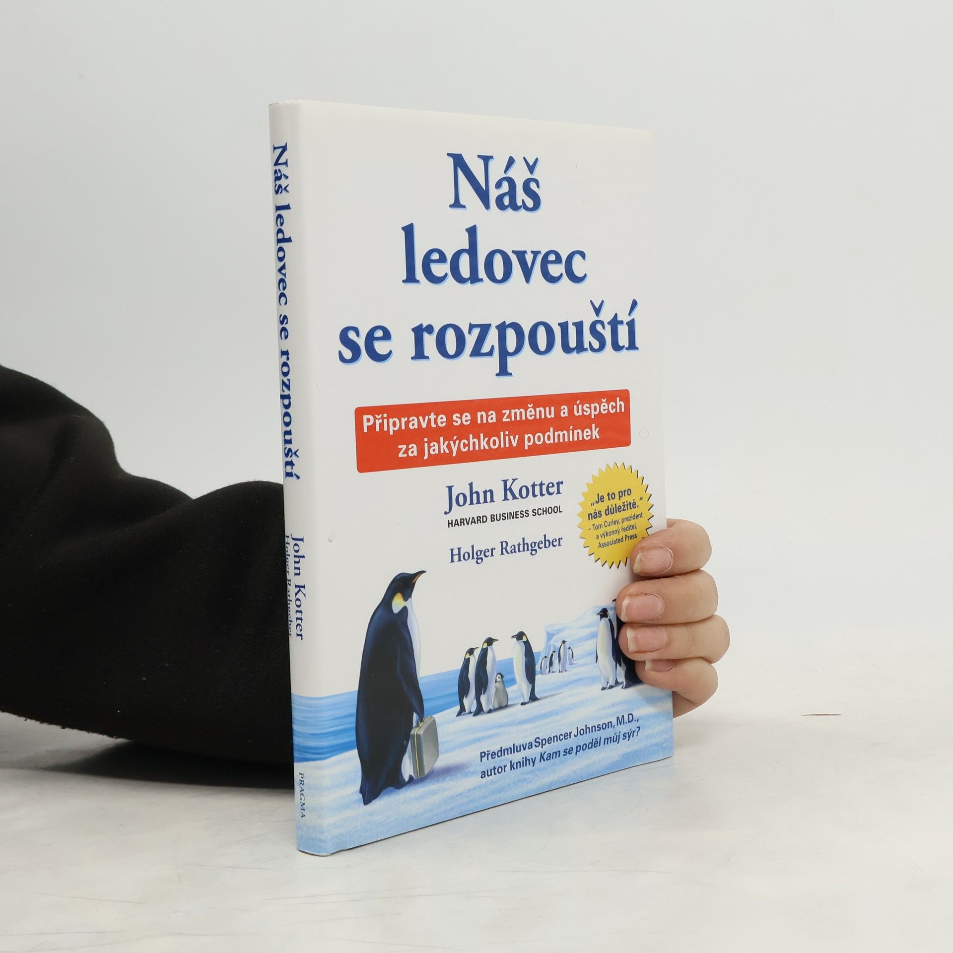 Náš ledovec se rozpouští