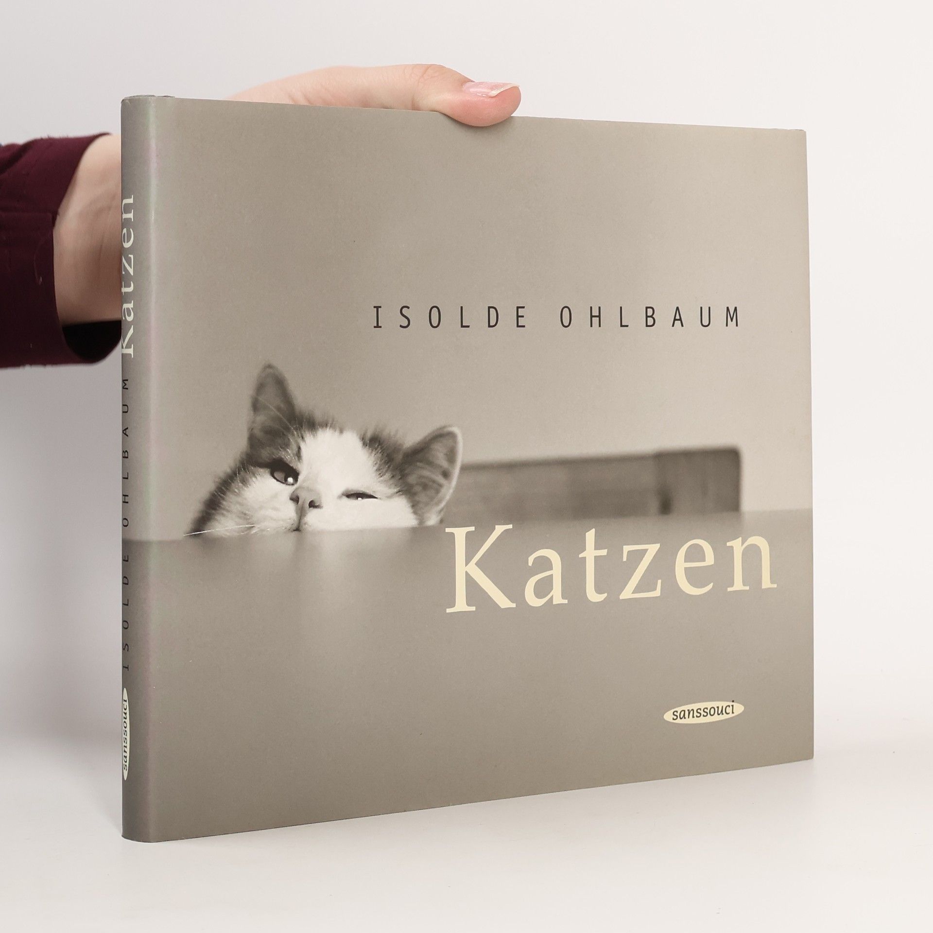Katzen