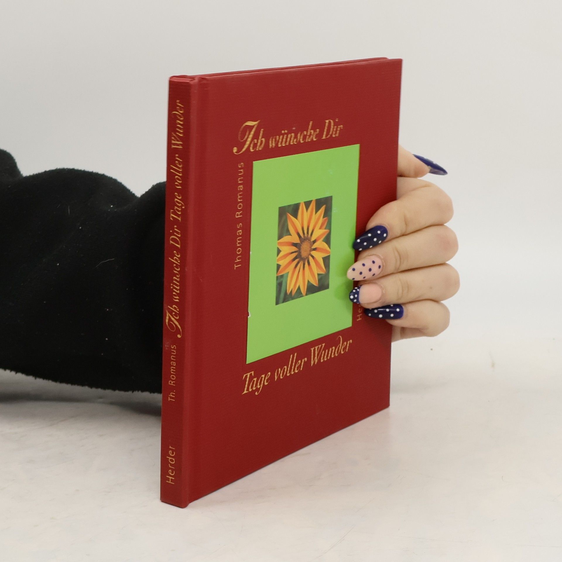 Thomas Romanus Ich wünsche dir Tage voller Wunder