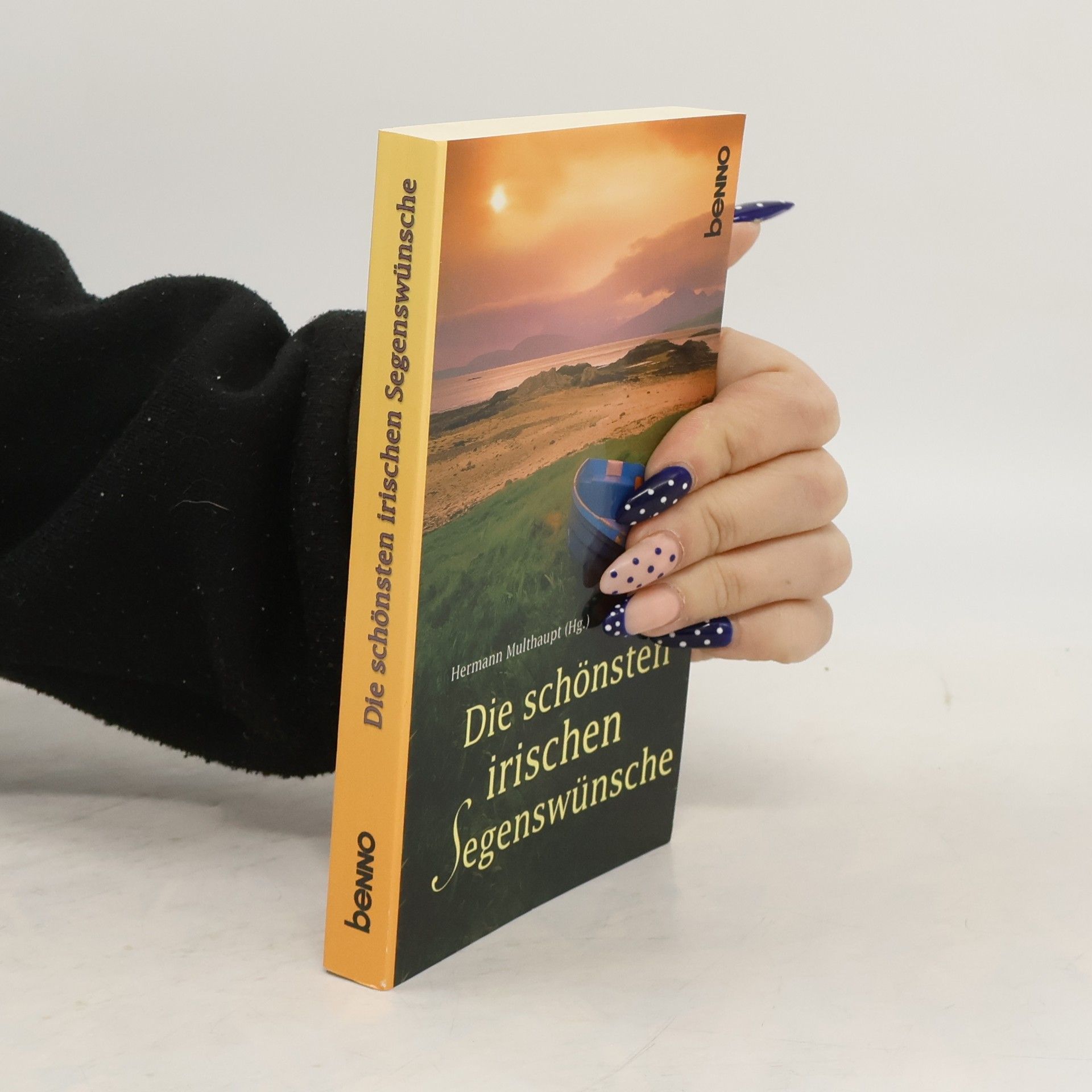 Hermann Multhaupt Die schönsten irischen Segenswünsche
