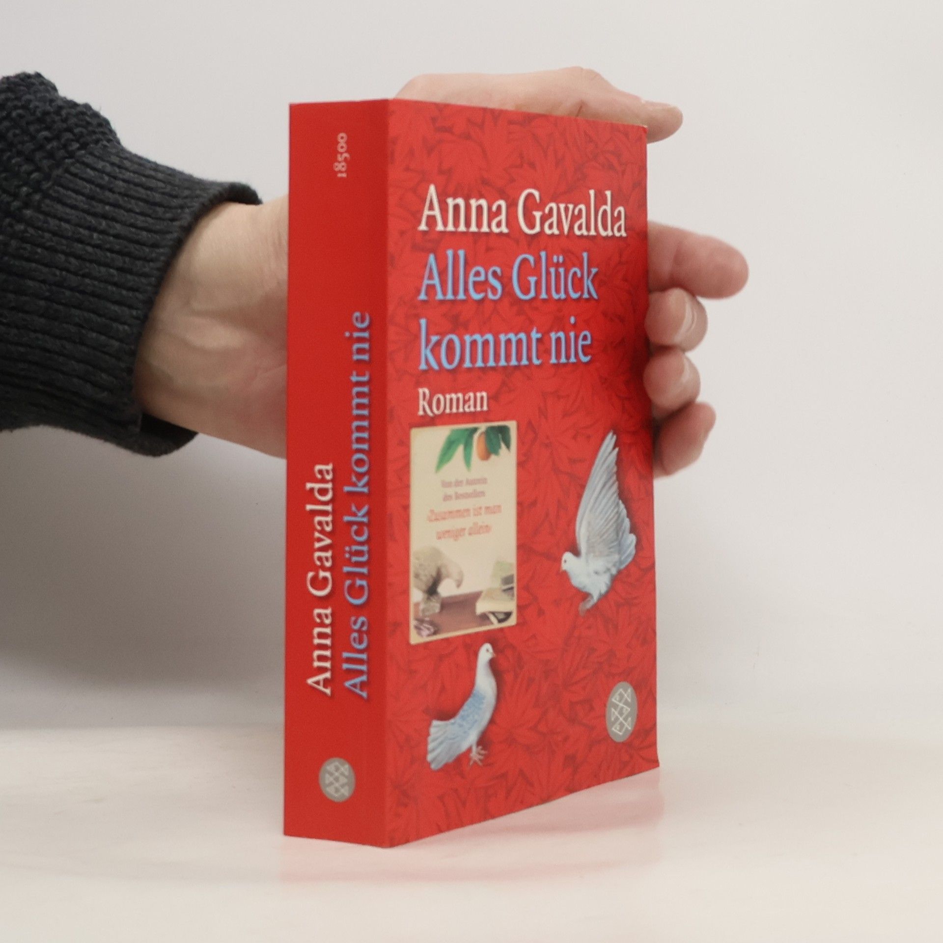 Anna Gavalda Alles Glück kommt nie