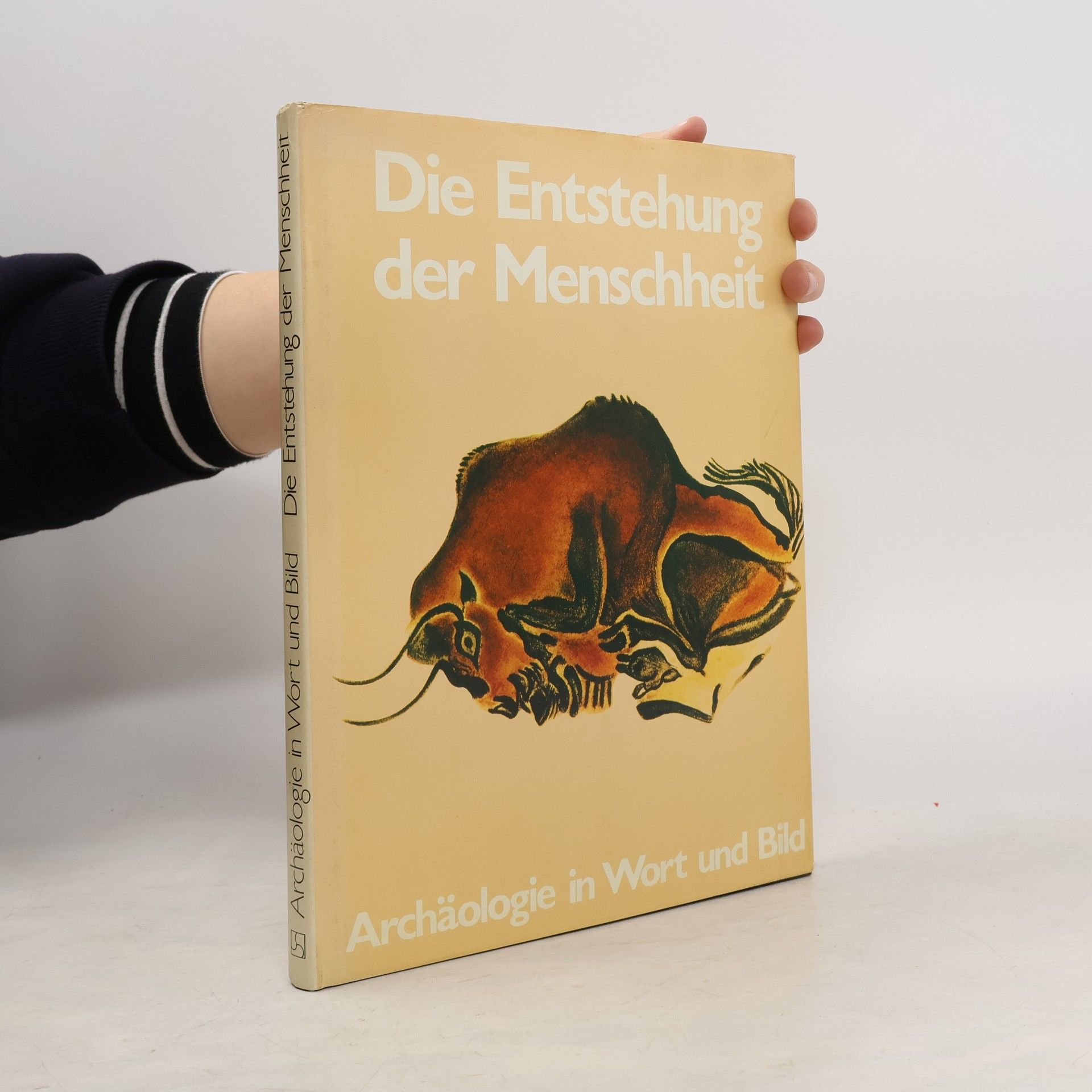 John Waechter Die Entstehung der Menschheit