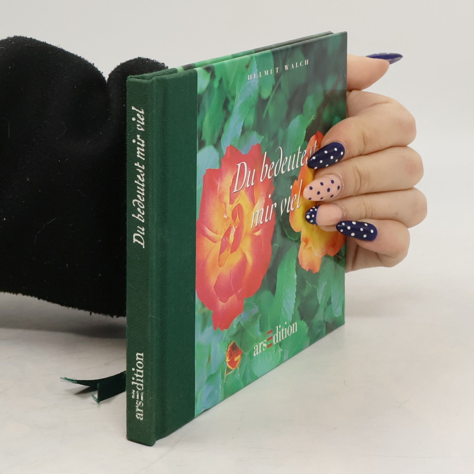 Helmut Walch Du bedeutest mir viel