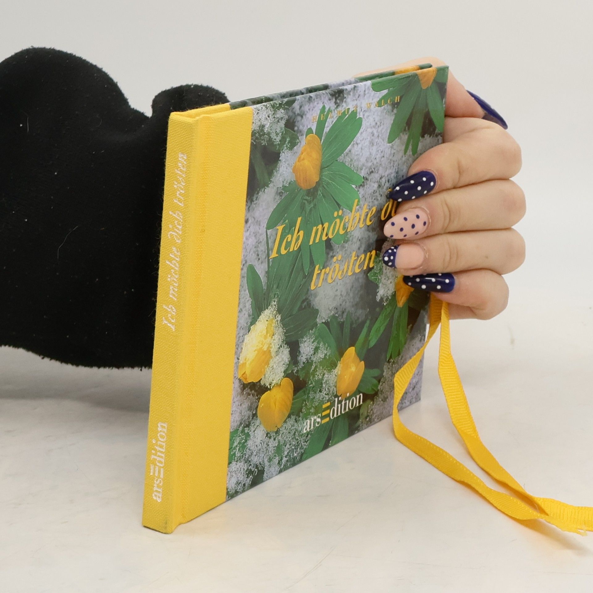 Helmut Walch Ich möchte dich trösten