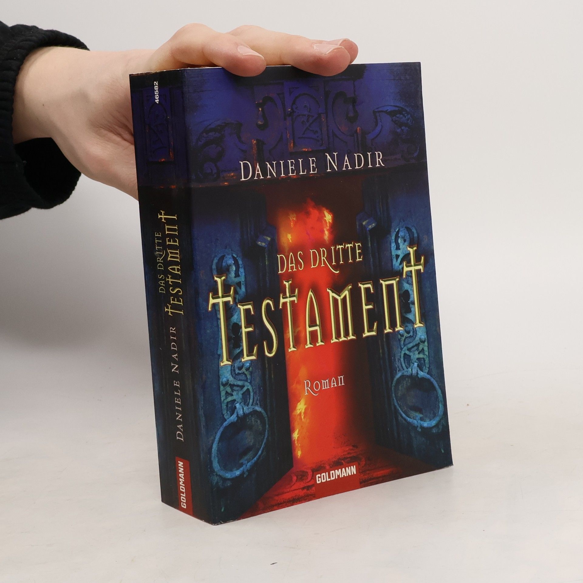 Daniele Nadir Das dritte Testament. Roman