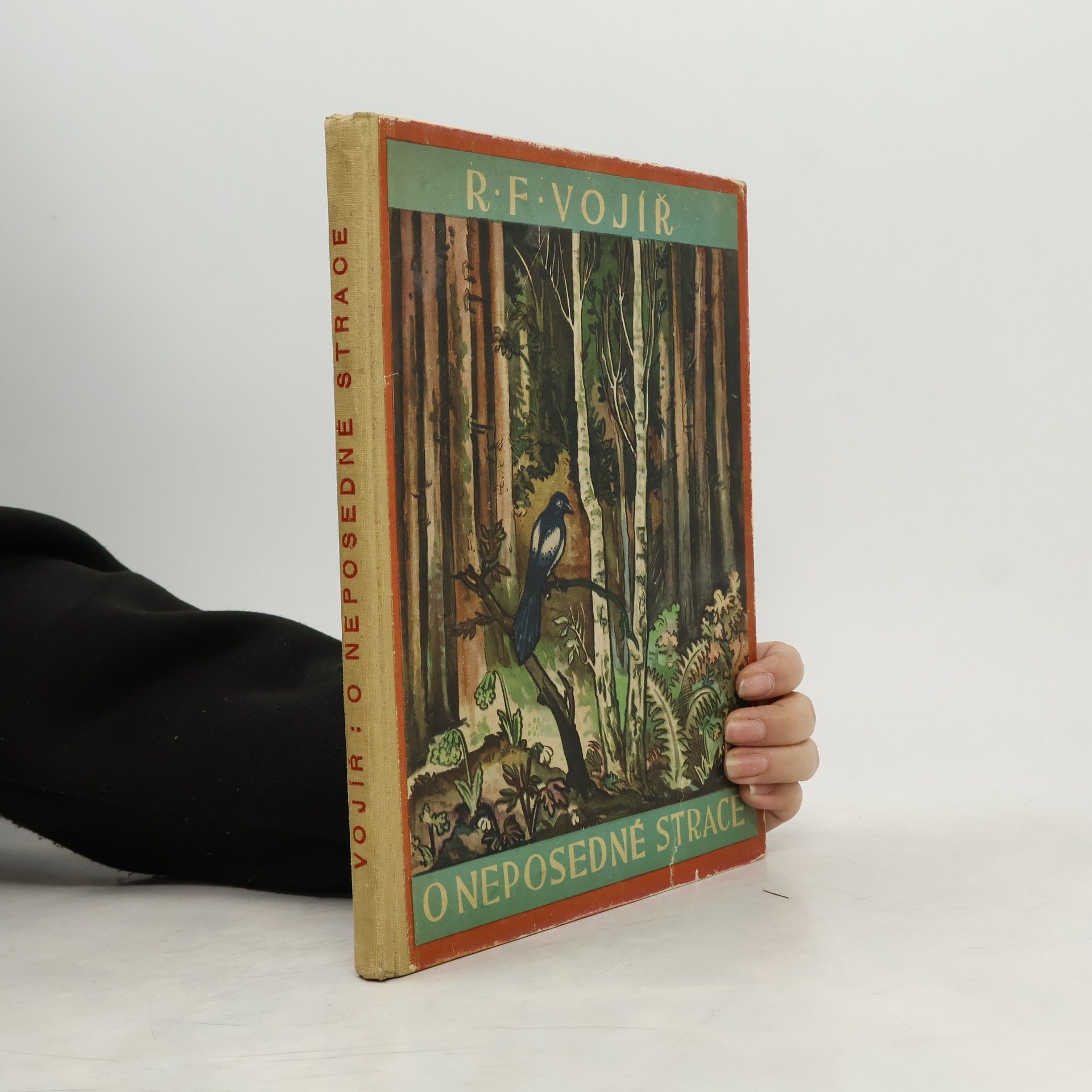 Rudolf František Vojíř O neposedné strace