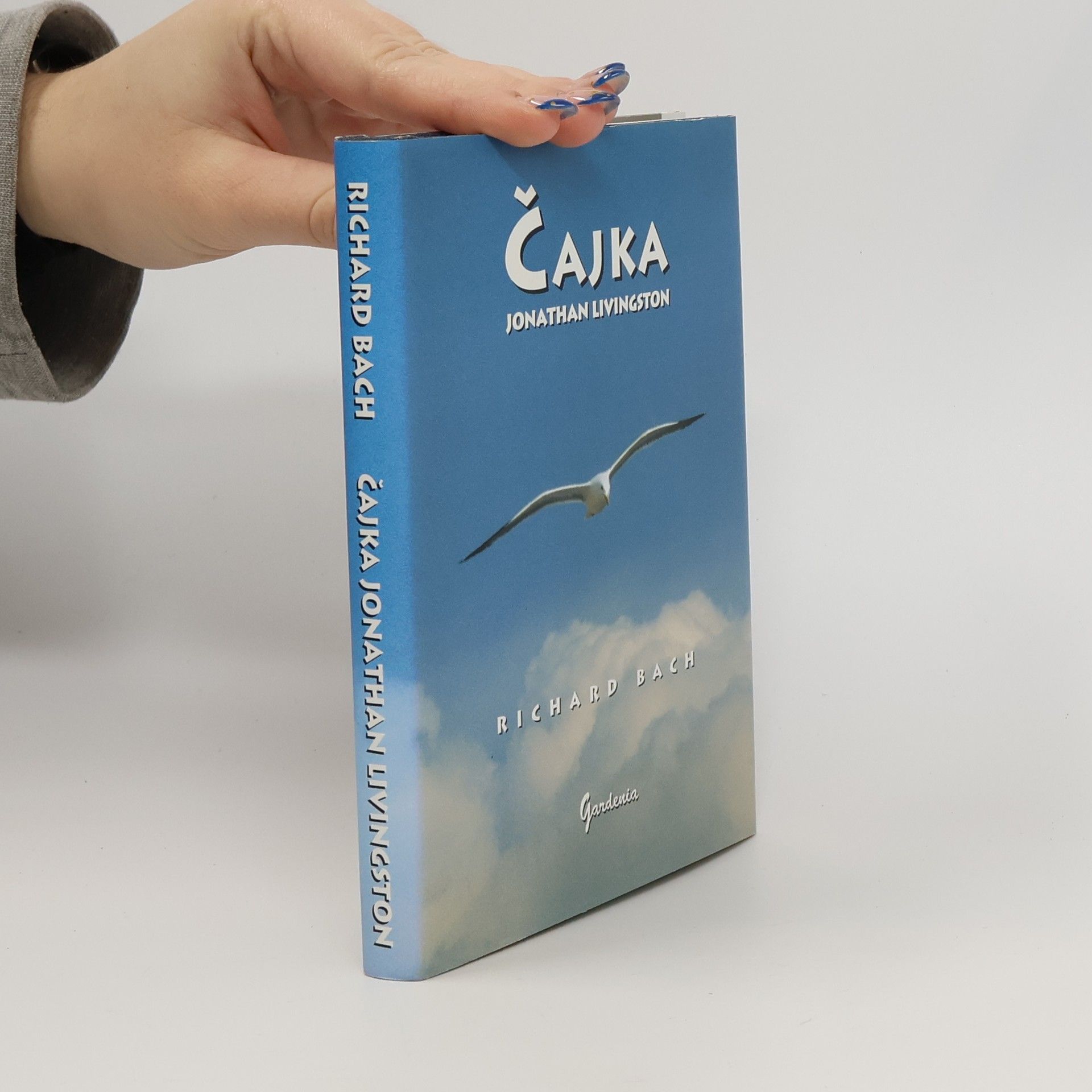 Richard Bach Čajka Jonathan Livingston