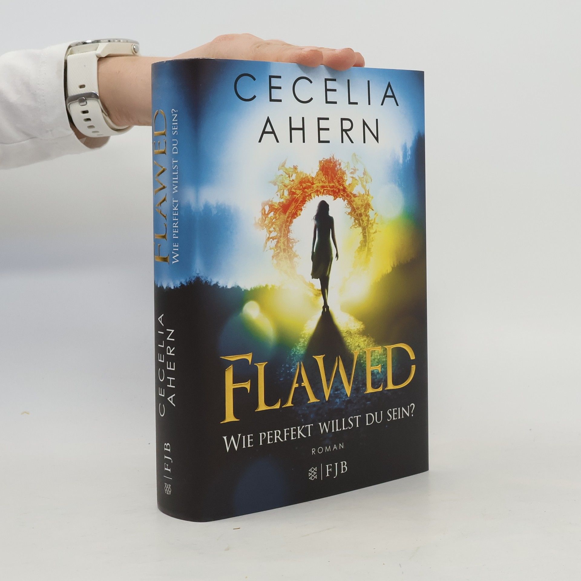 Cecelia Ahern Flawed - wie perfekt willst du sein?