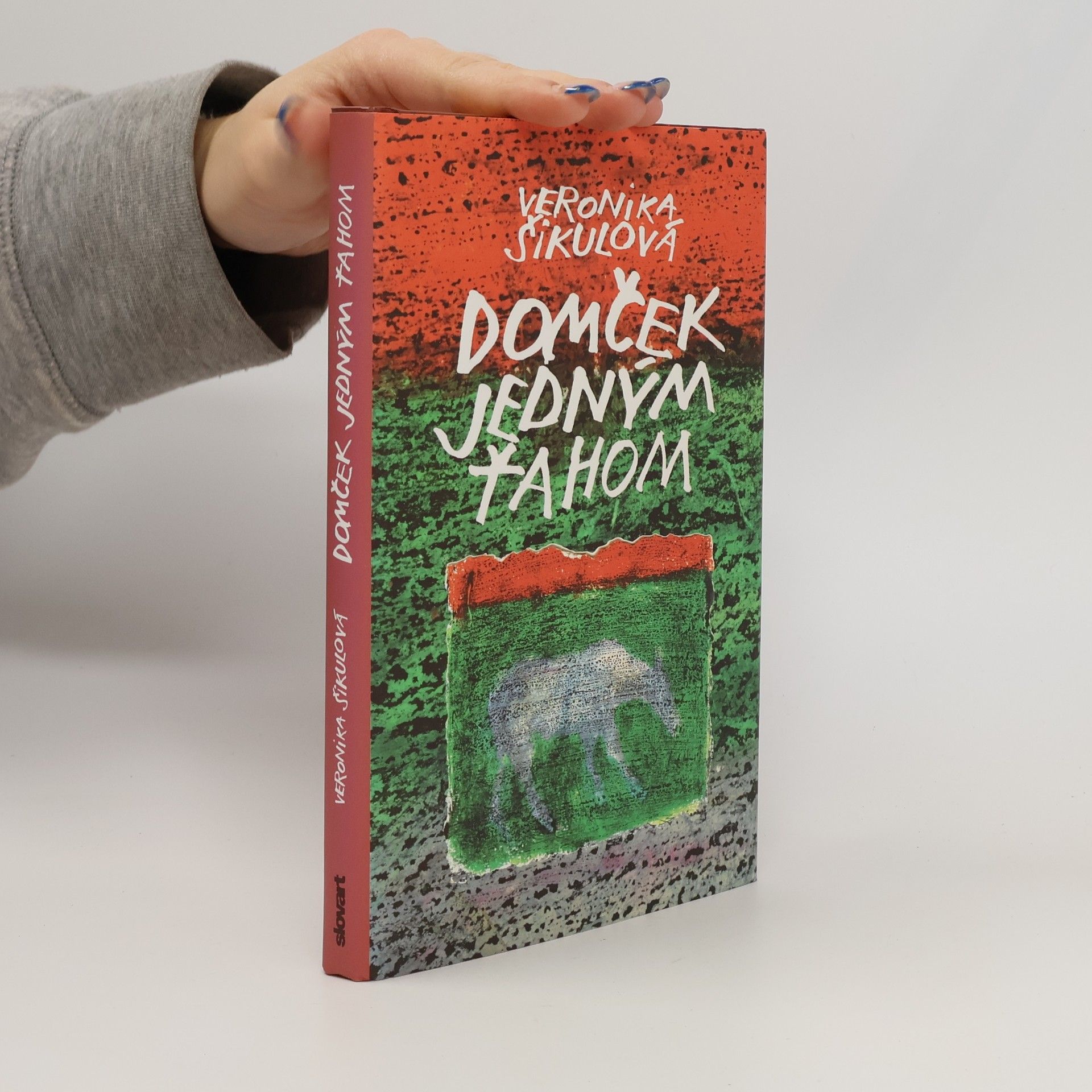 Šikulová Veronika Domček jedným ťahom