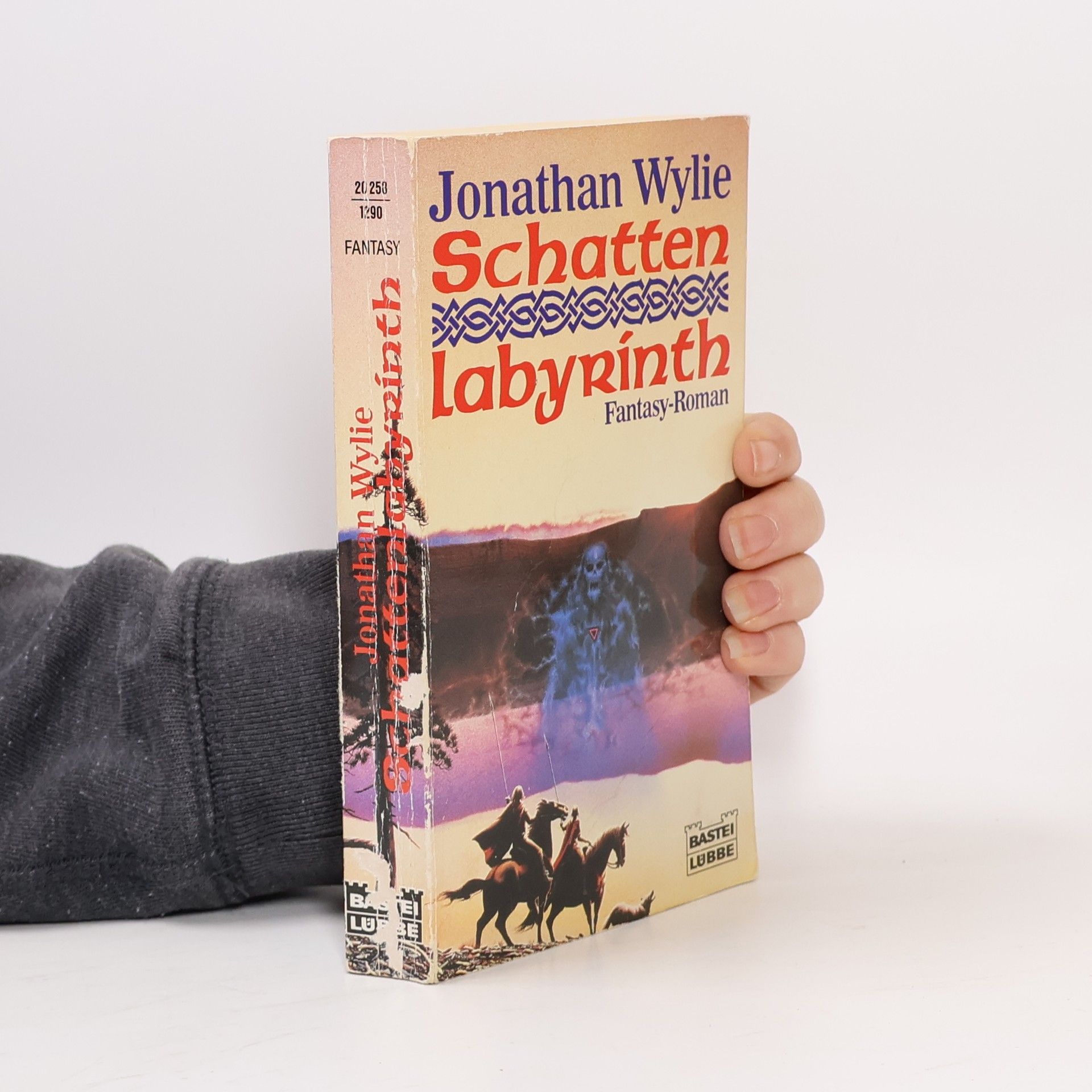 Jonathan Wylie Schatten-Labyrinth