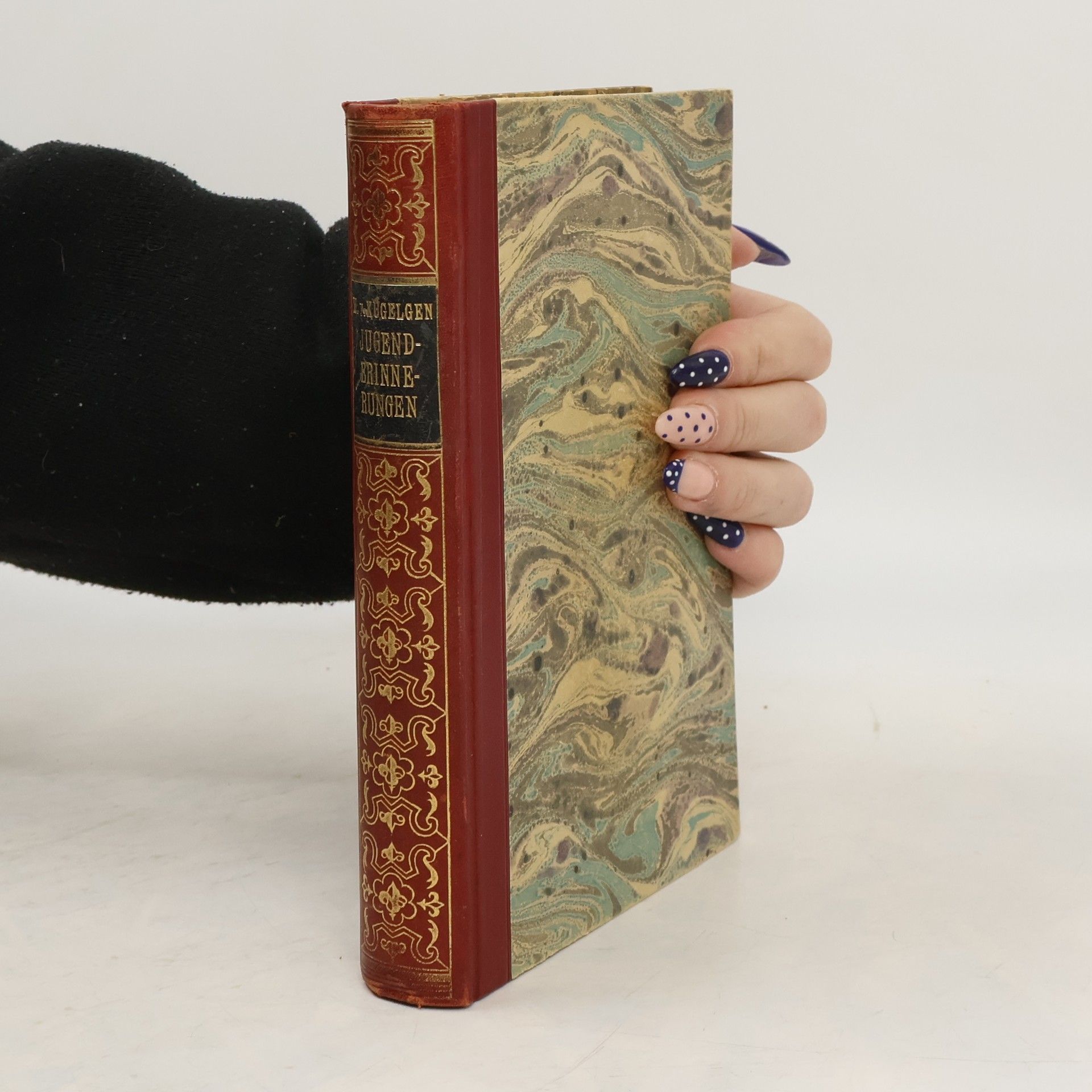 Wilhelm von Kügelgen Jugenderinnerungen eines alten Mannes