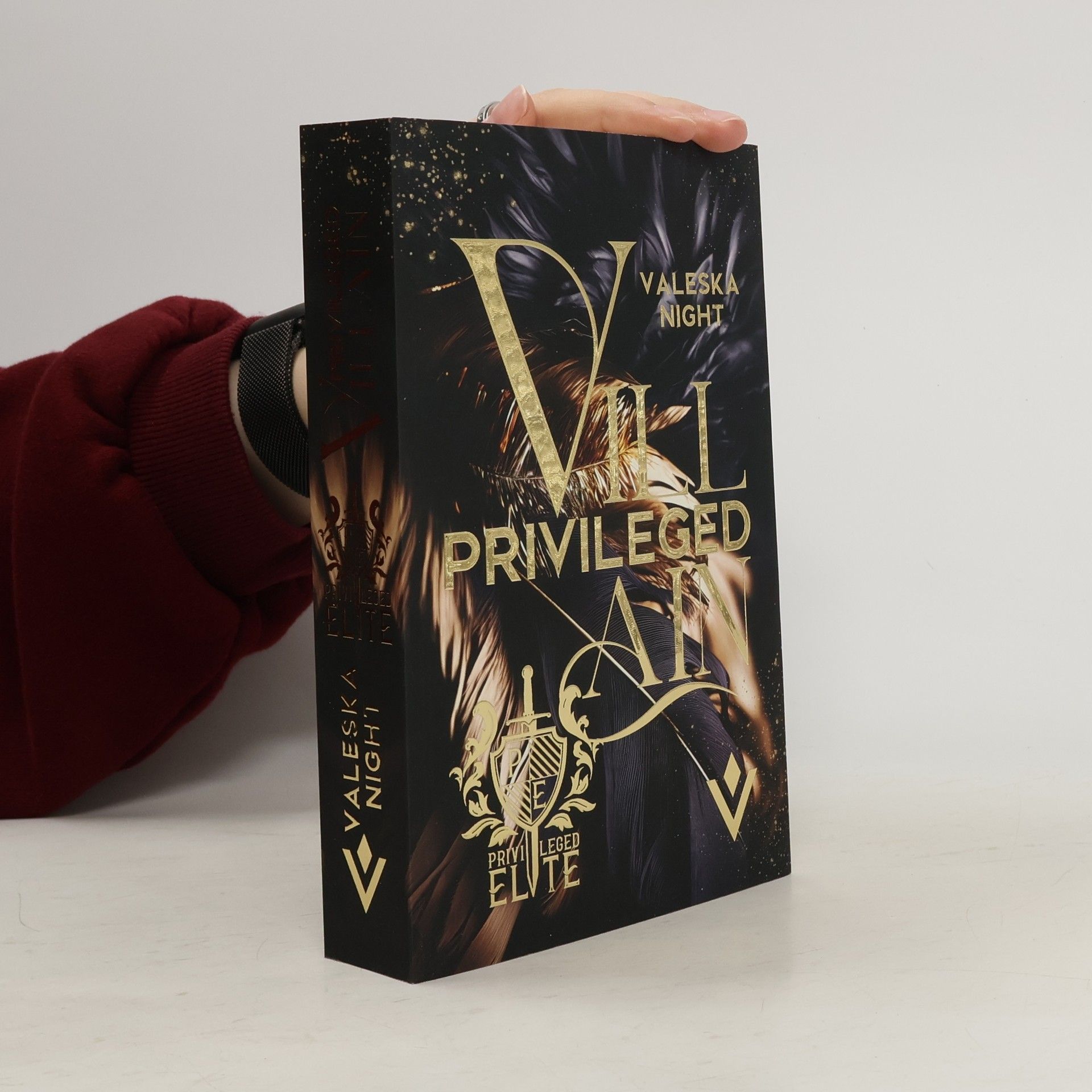 Night Valeska Privileged Villain