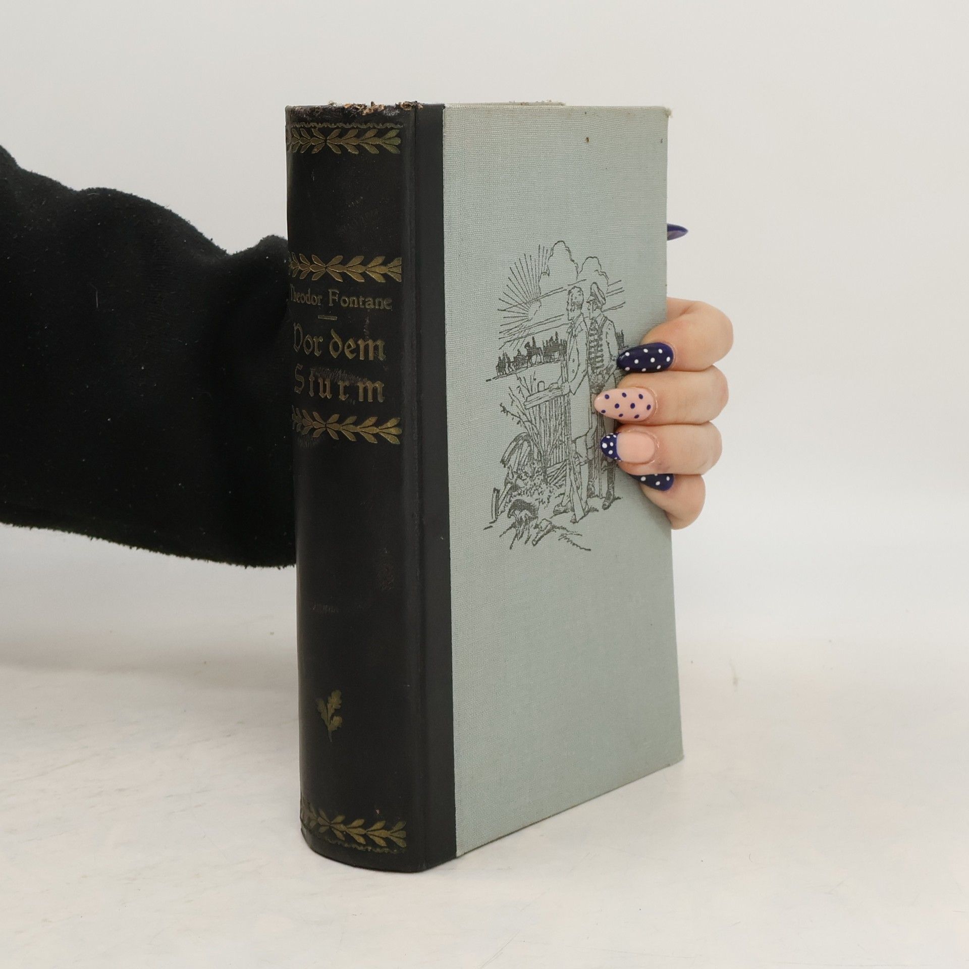 Theodor Fontane Vor der Sturm