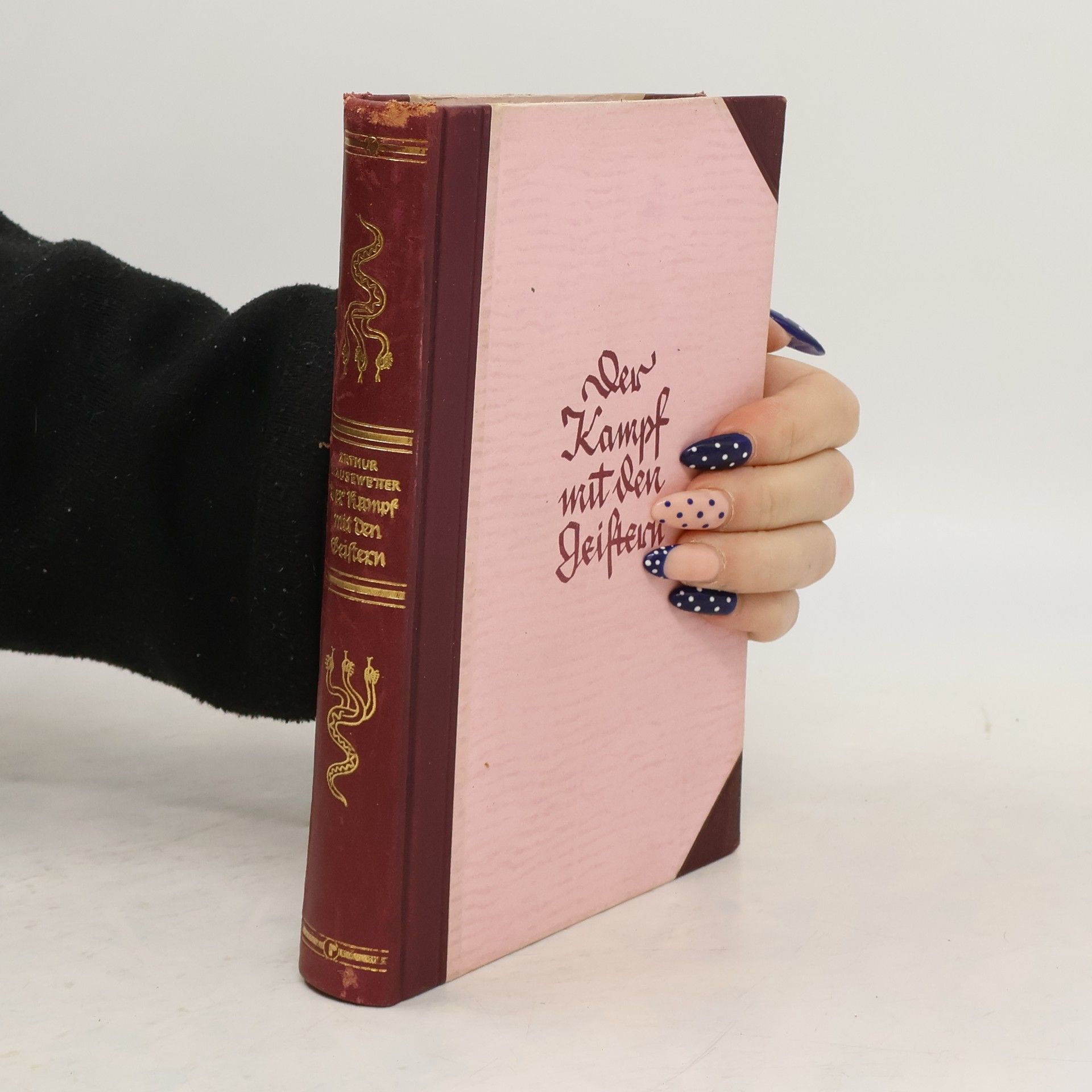 Collectif d'auteurs Der Kampf mit den Geistern