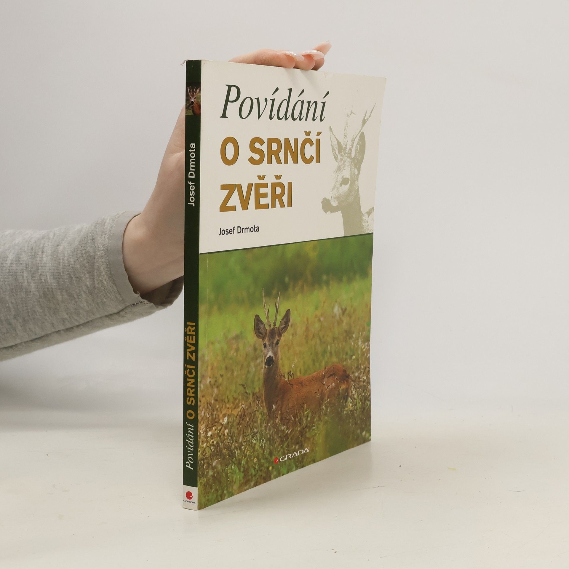 Povídání o srnčí zvěři