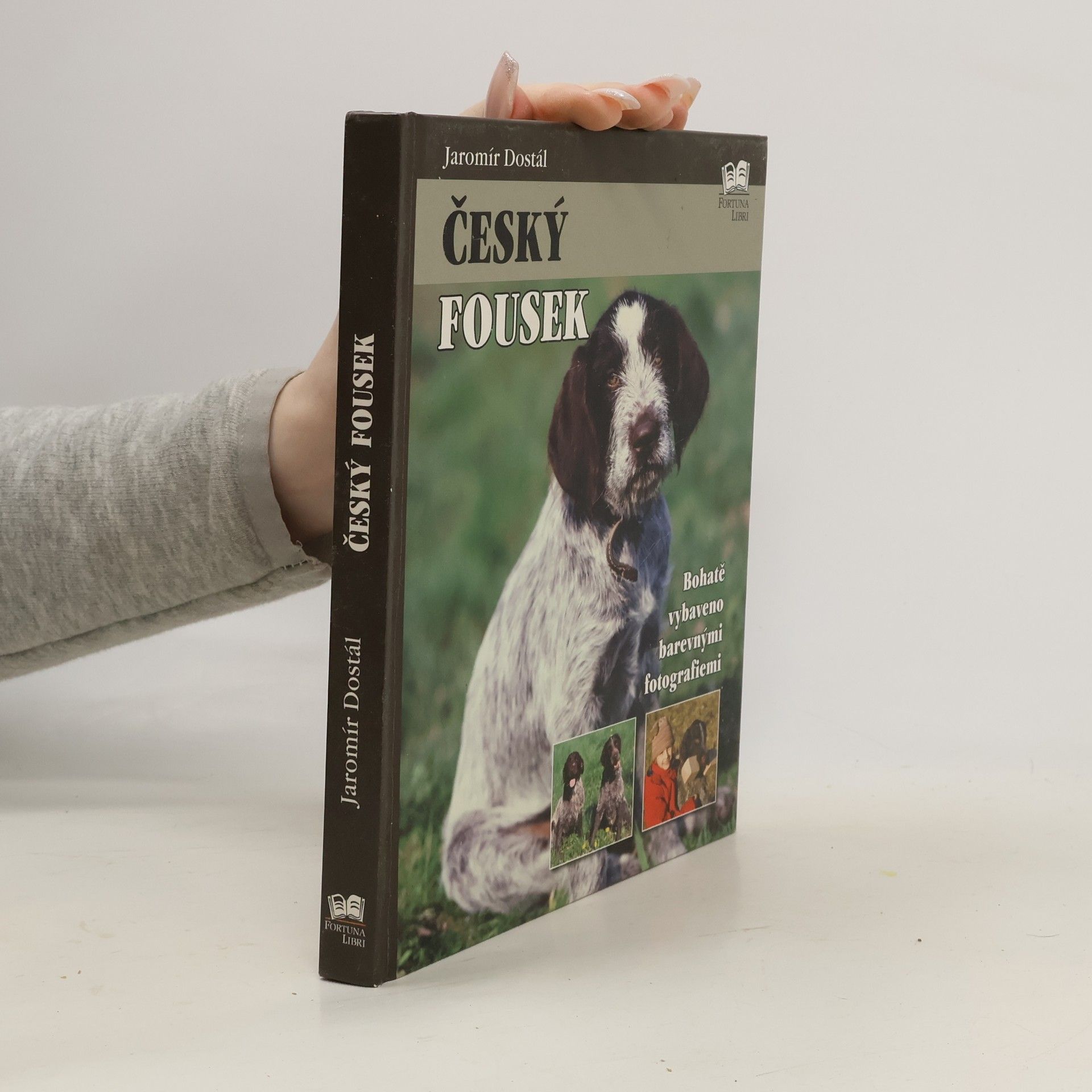 Jaromír Dostál Český fousek