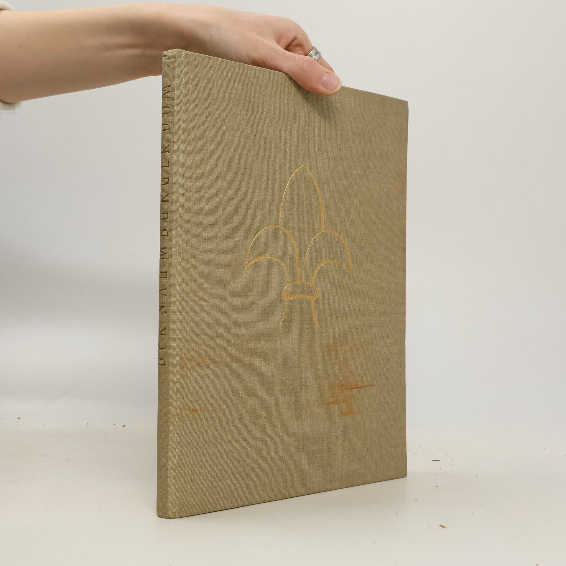 Kolektív autorov Der Naumburger Dom