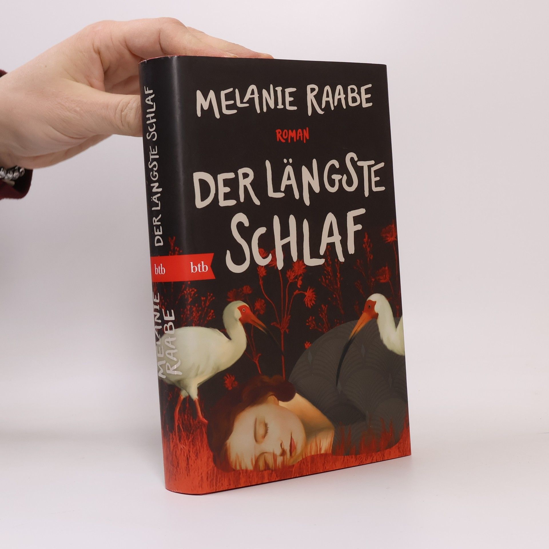 Melanie Raabe Der längste Schlaf. Roman