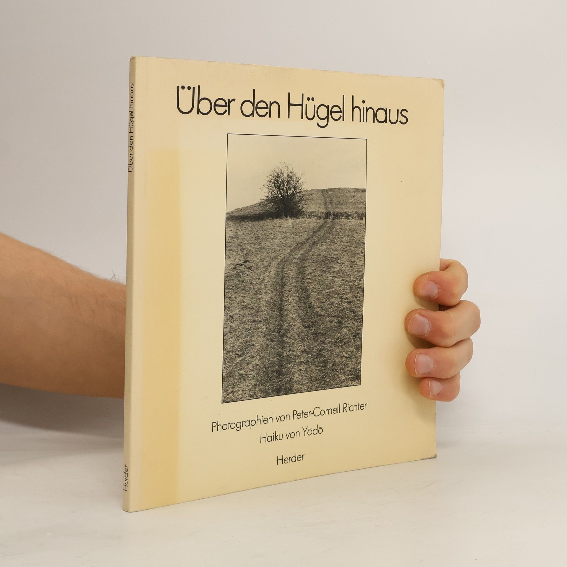 Peter-Cornell Richter Über die Hügel hinaus