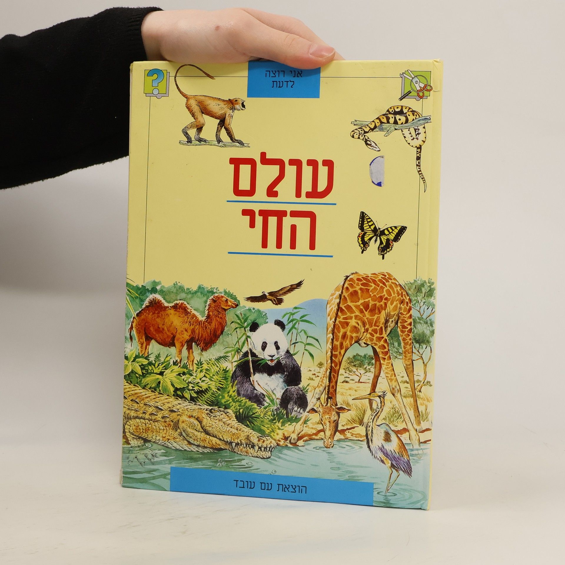 Tom Stacy עולם החי