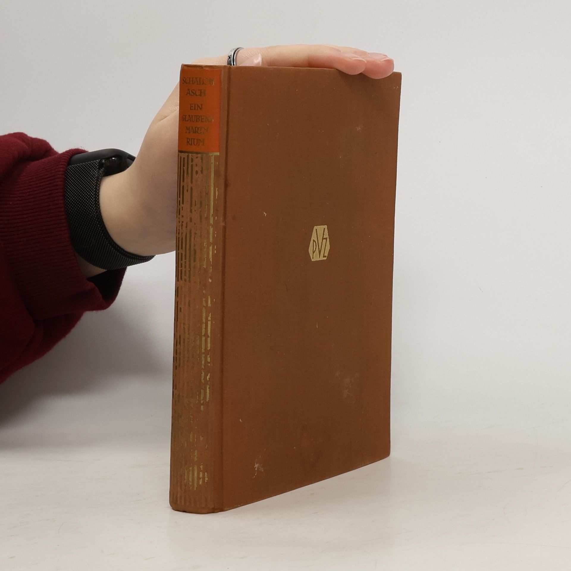 Sholem Asch Ein Glaubensmartyrium : Erzählung