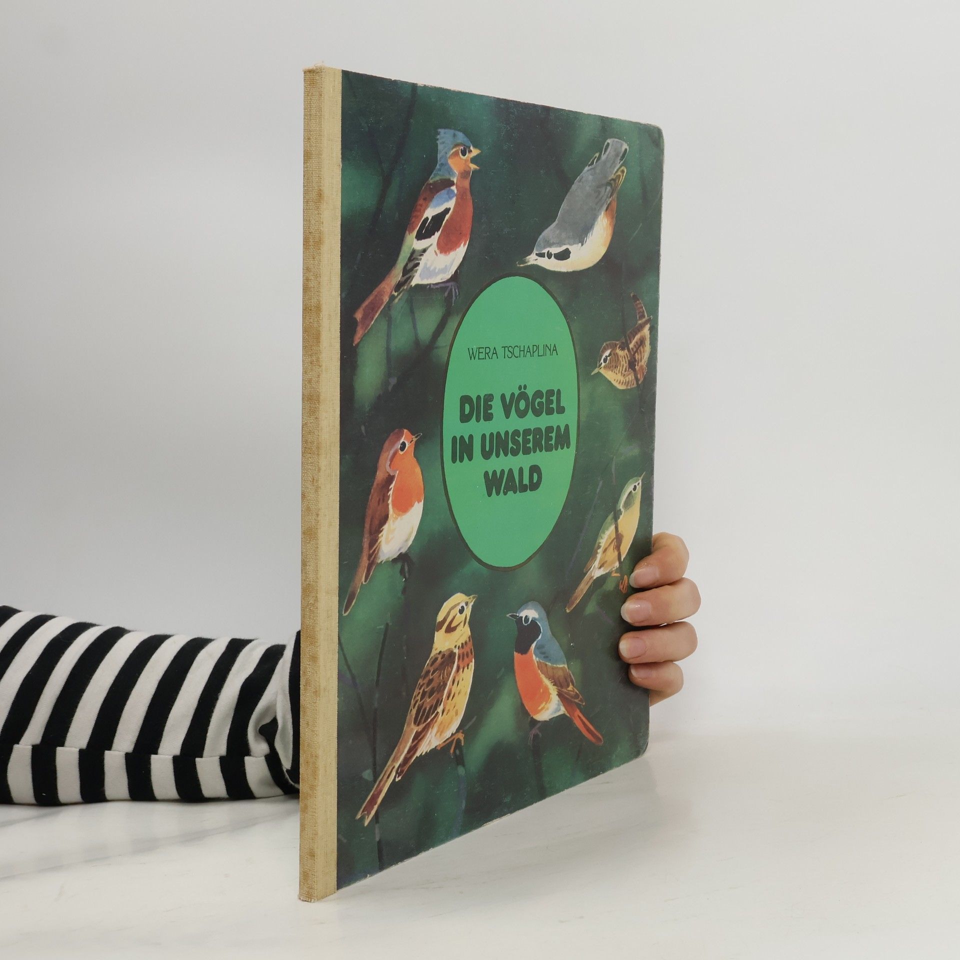 Wera Tschaplina Die Vögel in unserem Wald